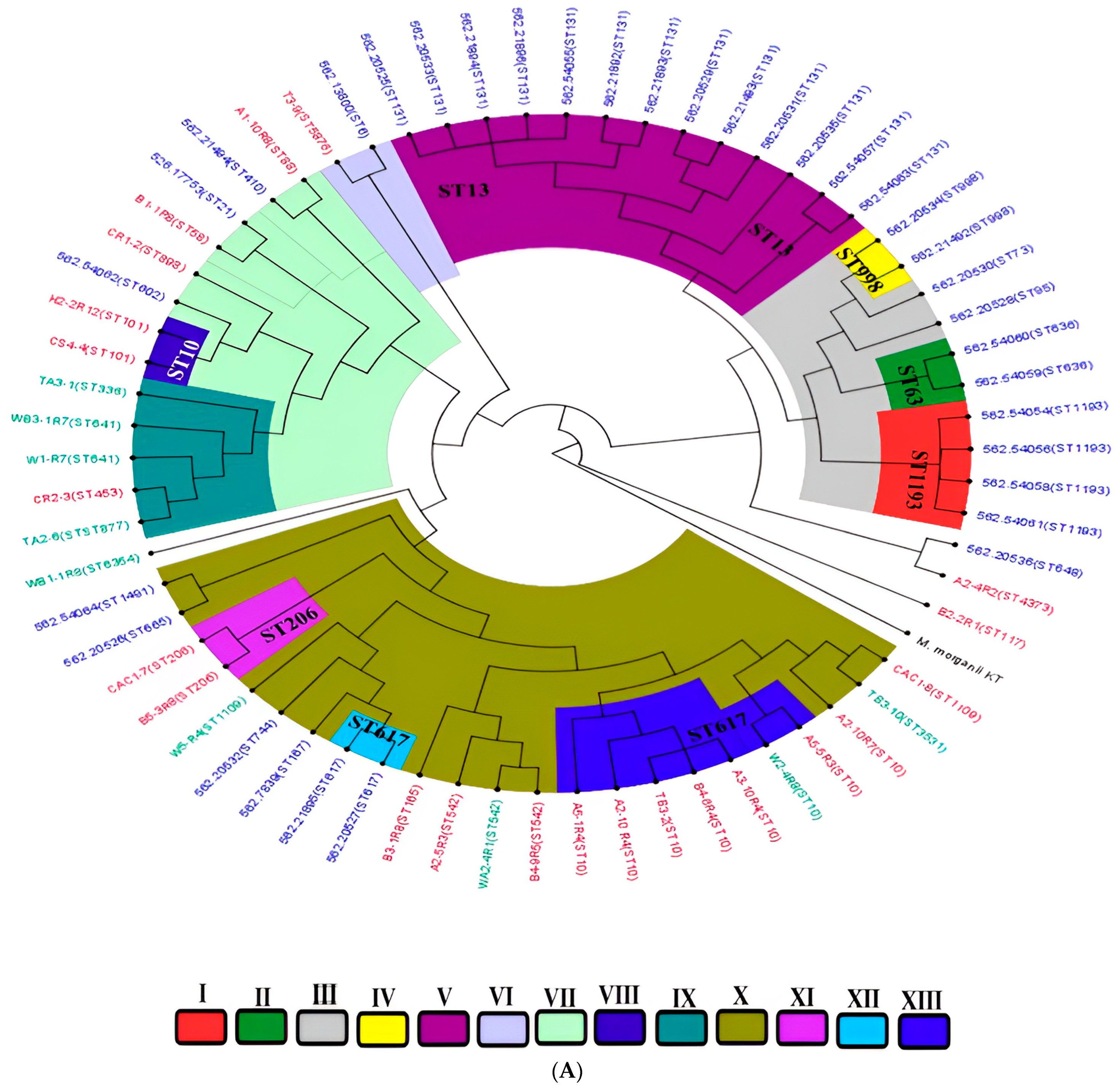 Antibiotics 14 00446 g006a