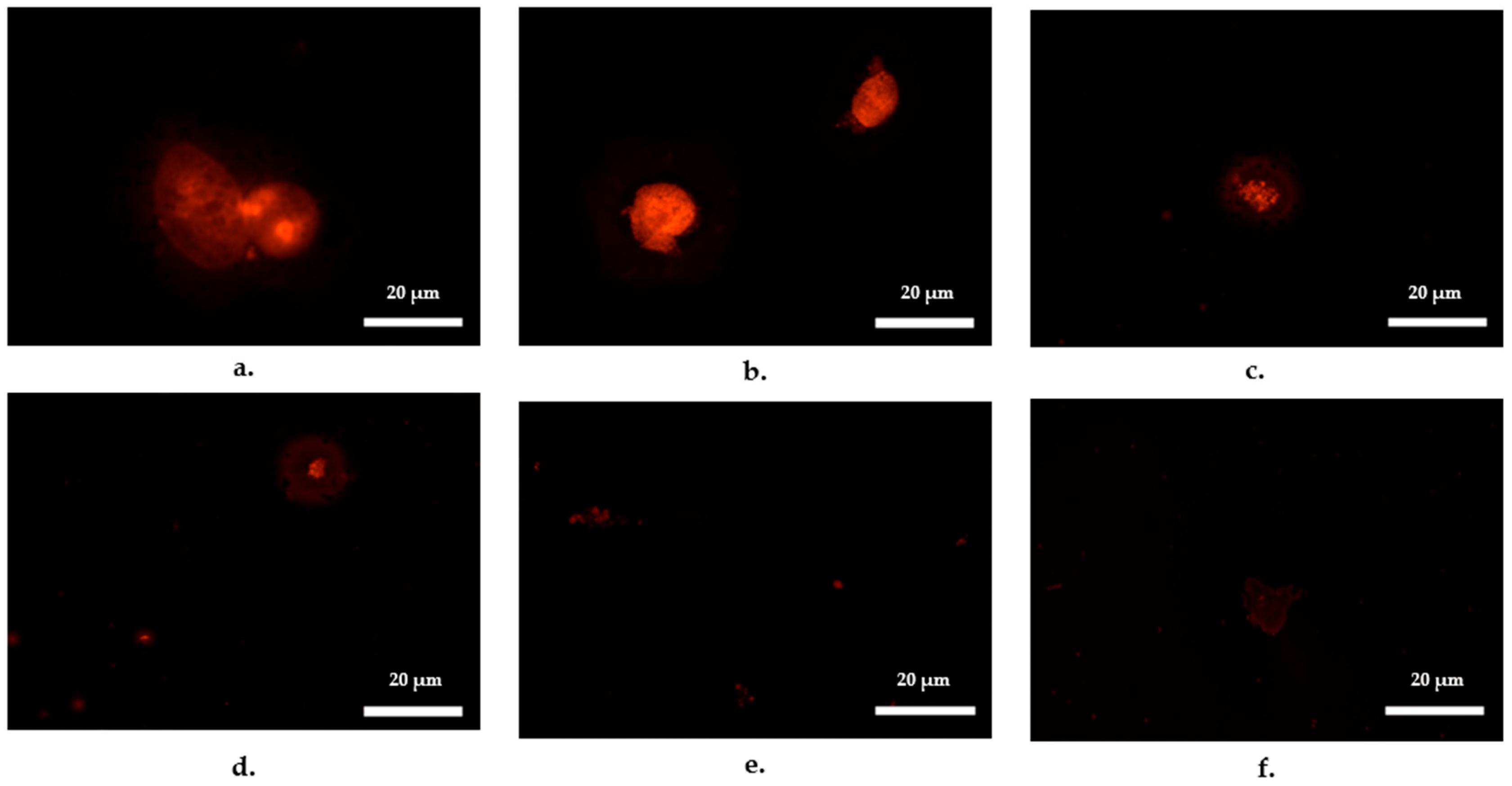 Antibiotics 14 00448 g002 Antibiotics 14 00448 g002