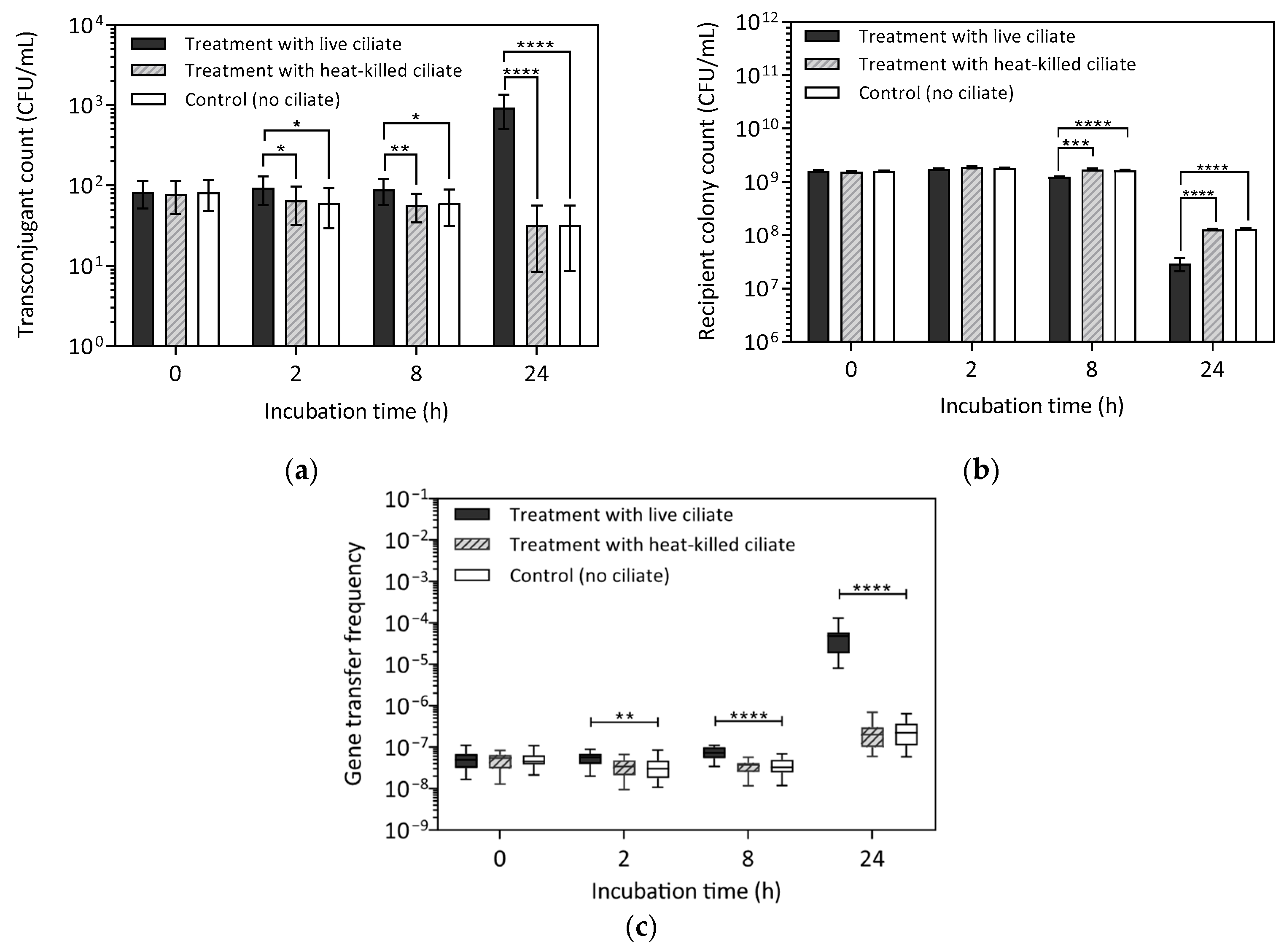Antibiotics 14 00448 g003 Antibiotics 14 00448 g003