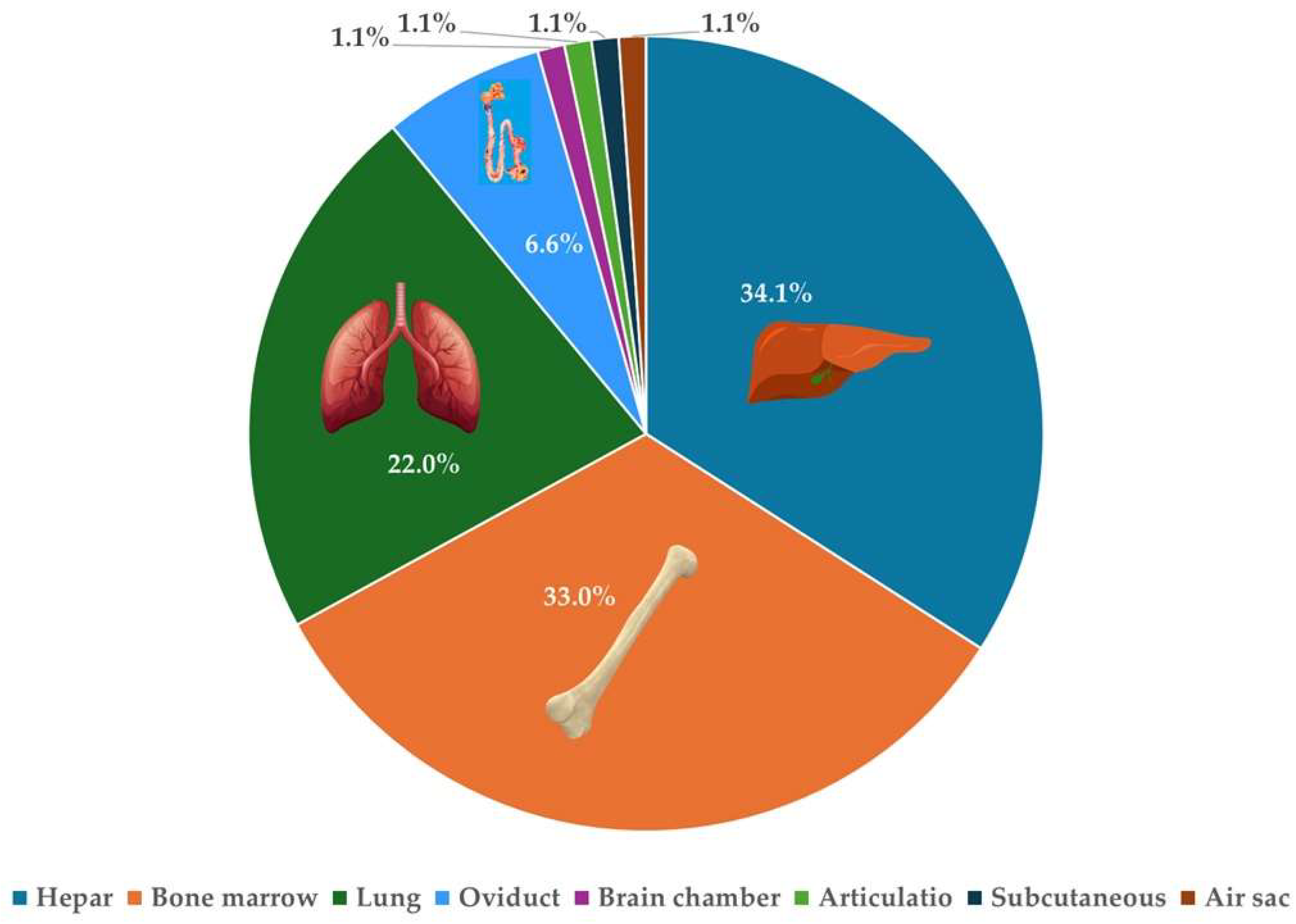Antibiotics 14 00450 g001
