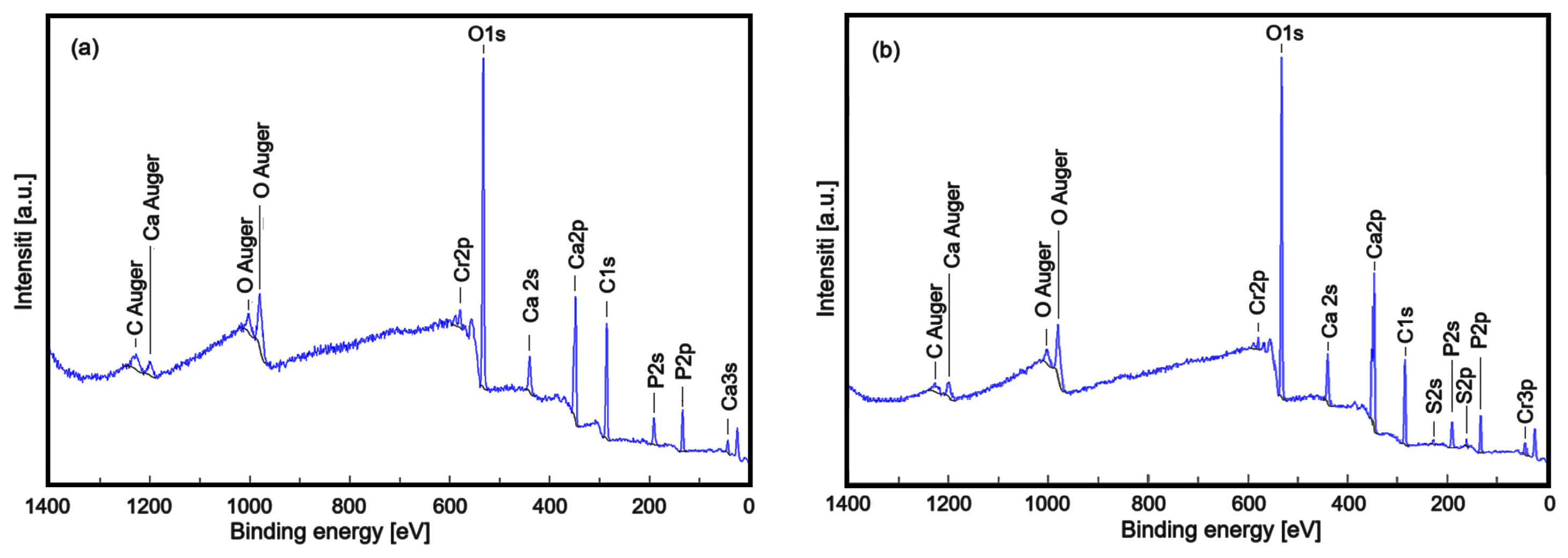 Antibiotics 14 00455 g004