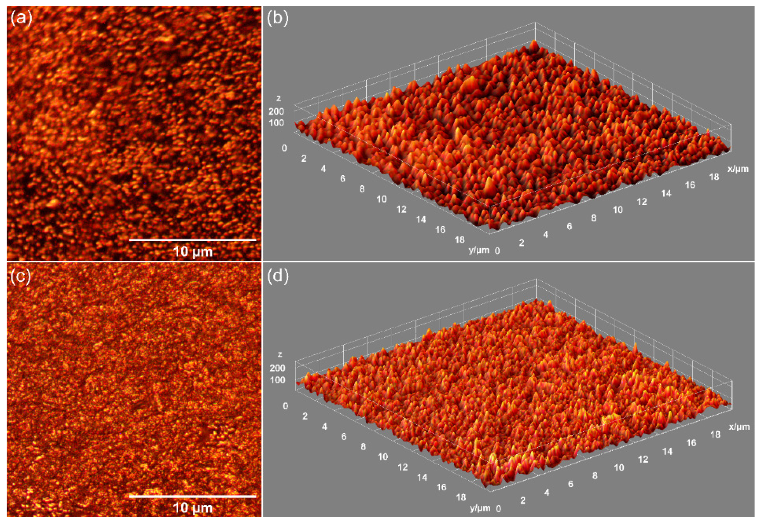 Antibiotics 14 00455 g009