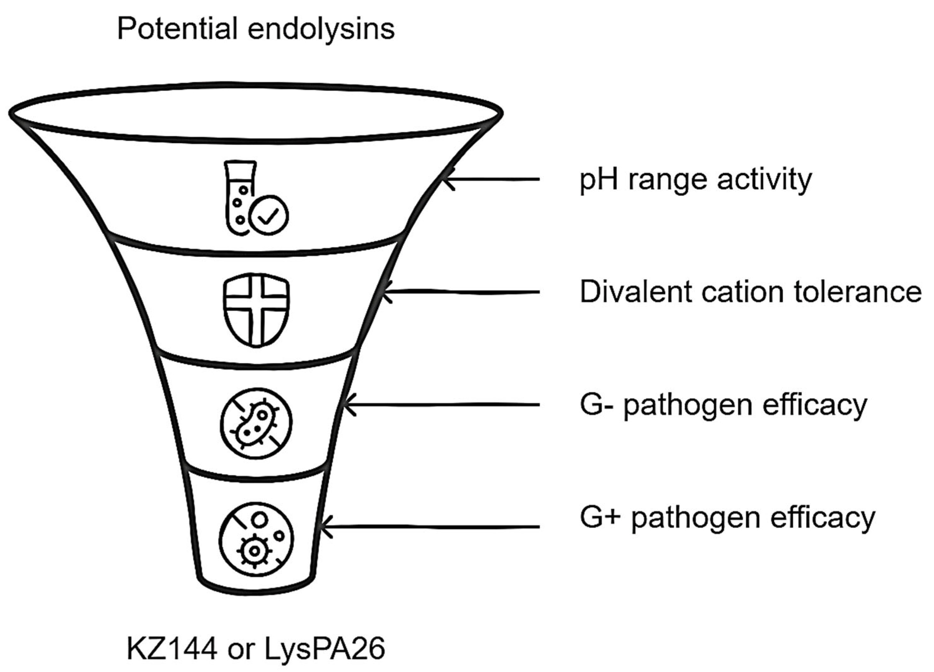 Antibiotics 14 00457 g004