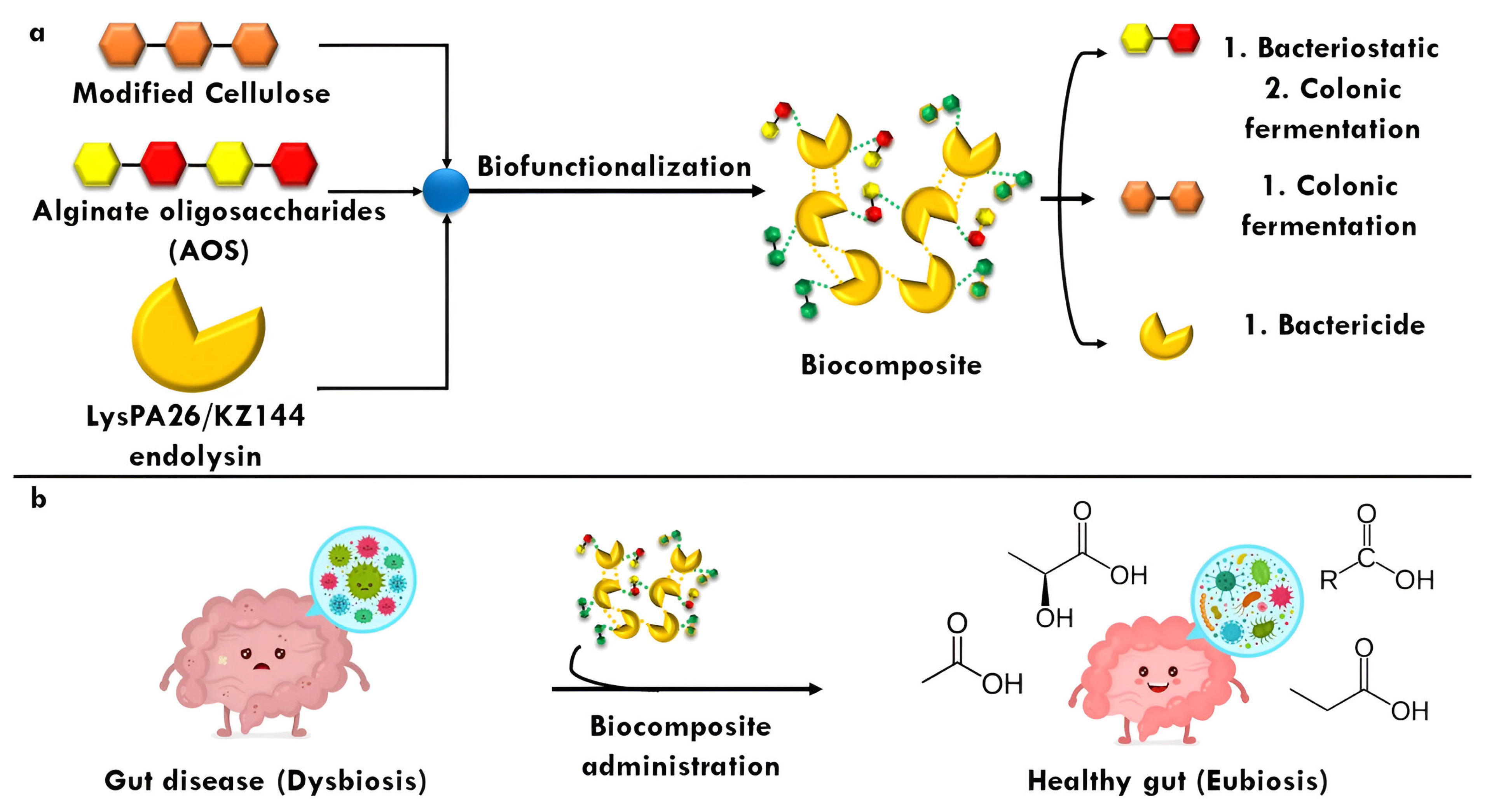 Antibiotics 14 00457 g005