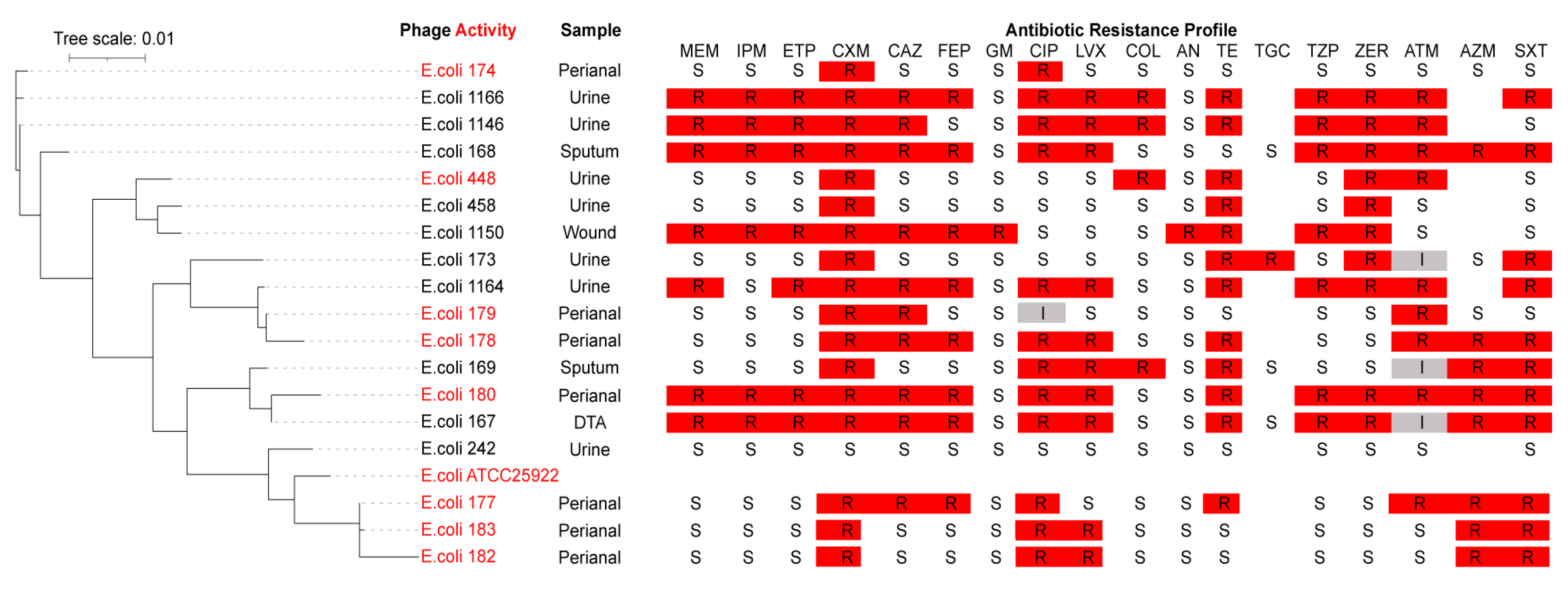Antibiotics 14 00458 g002 Antibiotics 14 00458 g002