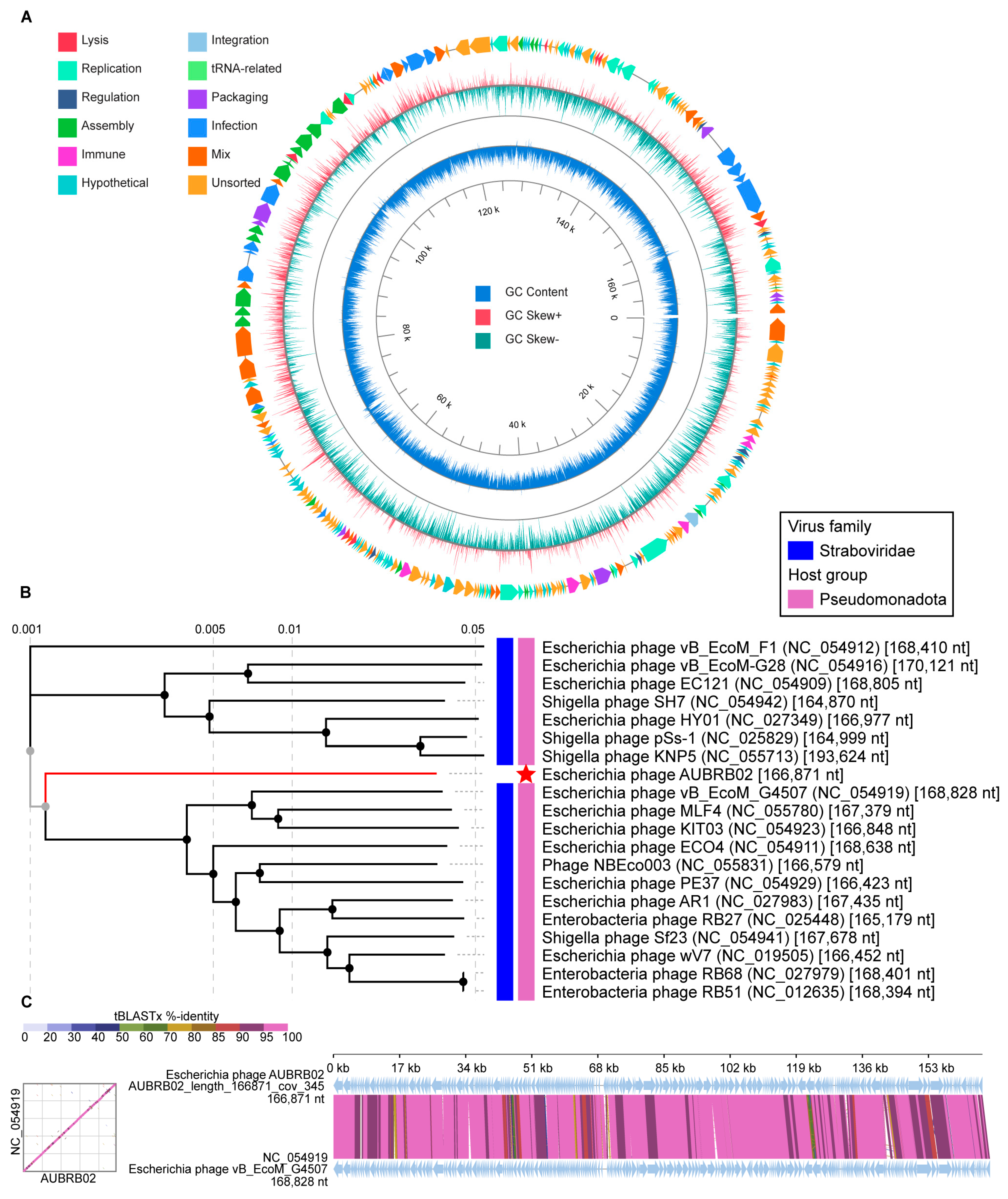 Antibiotics 14 00458 g007 Antibiotics 14 00458 g007