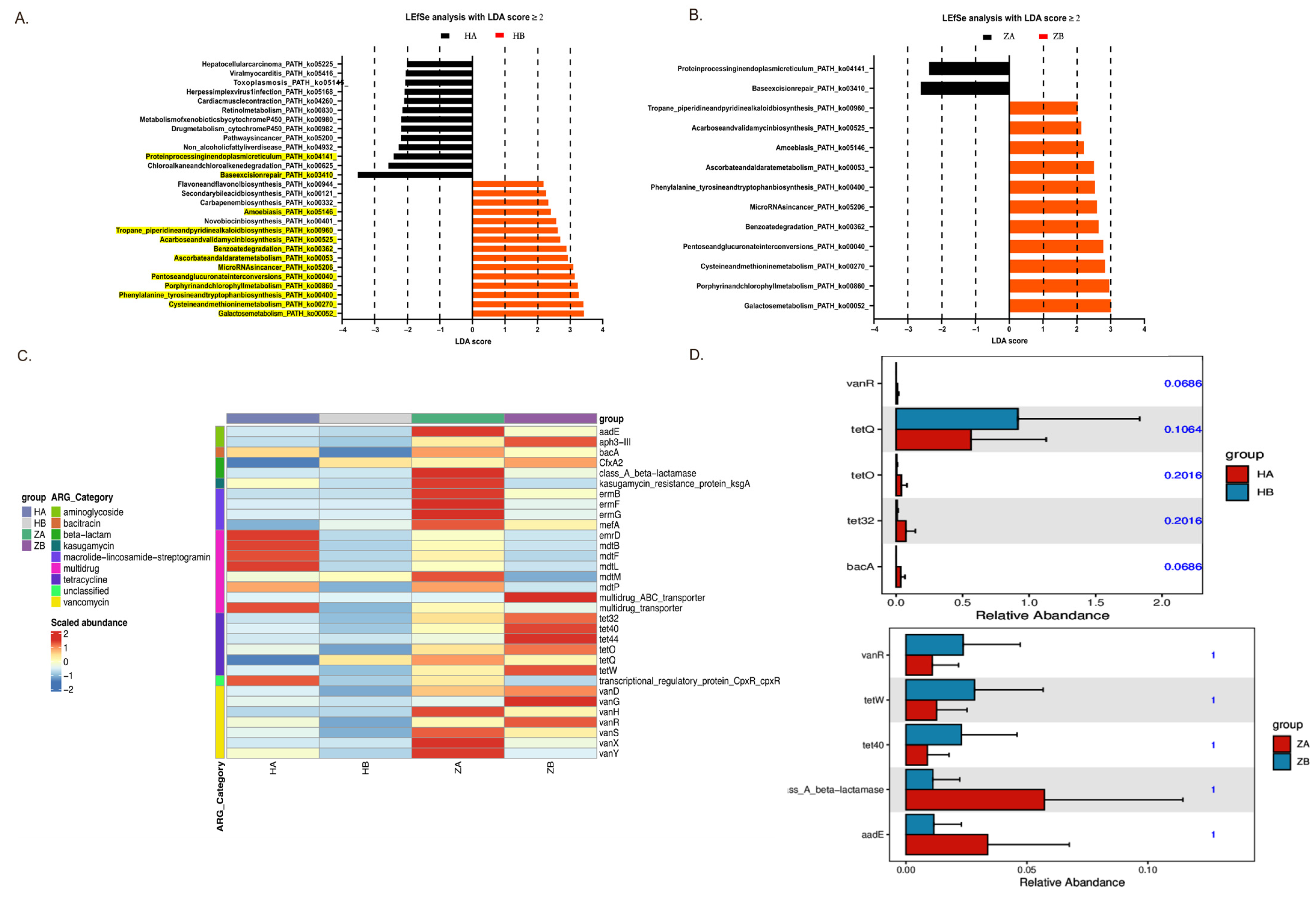 Antibiotics 14 00460 g005