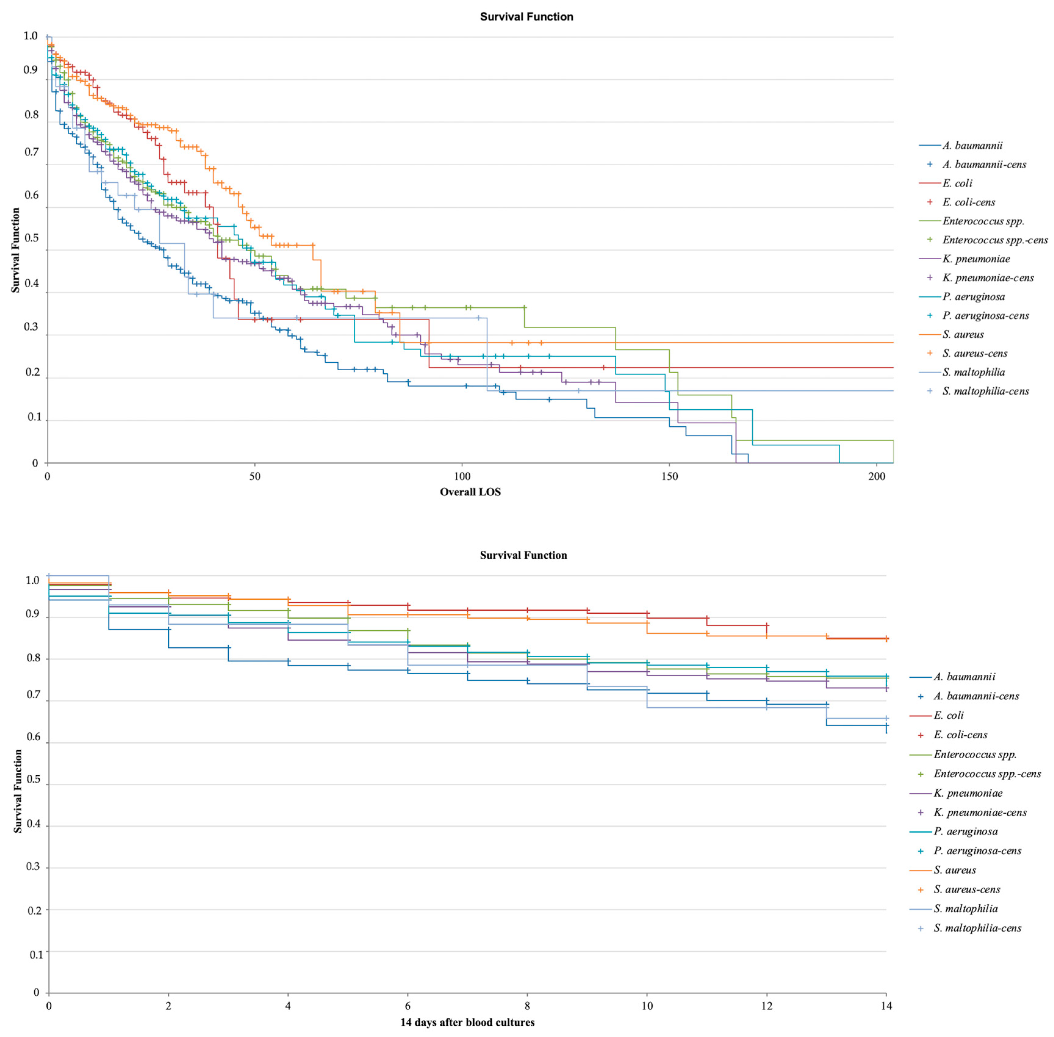 Antibiotics 14 00464 g014