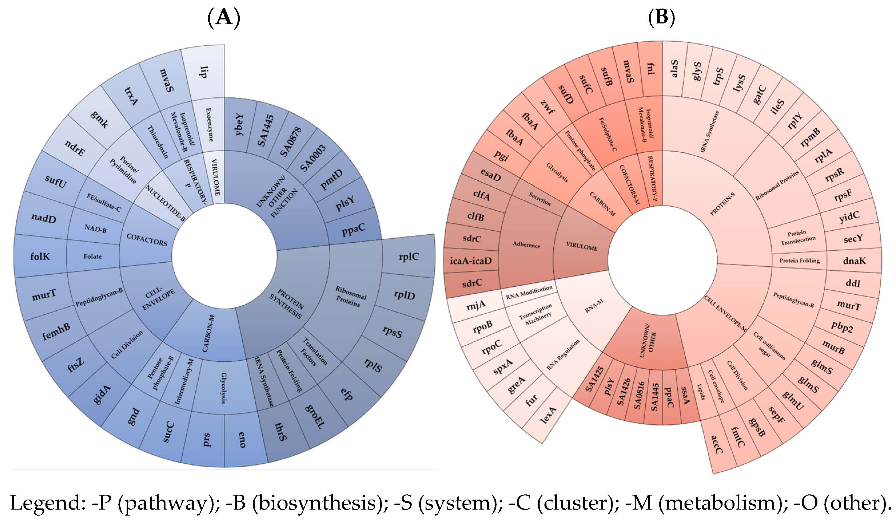 Antibiotics 14 00465 g001