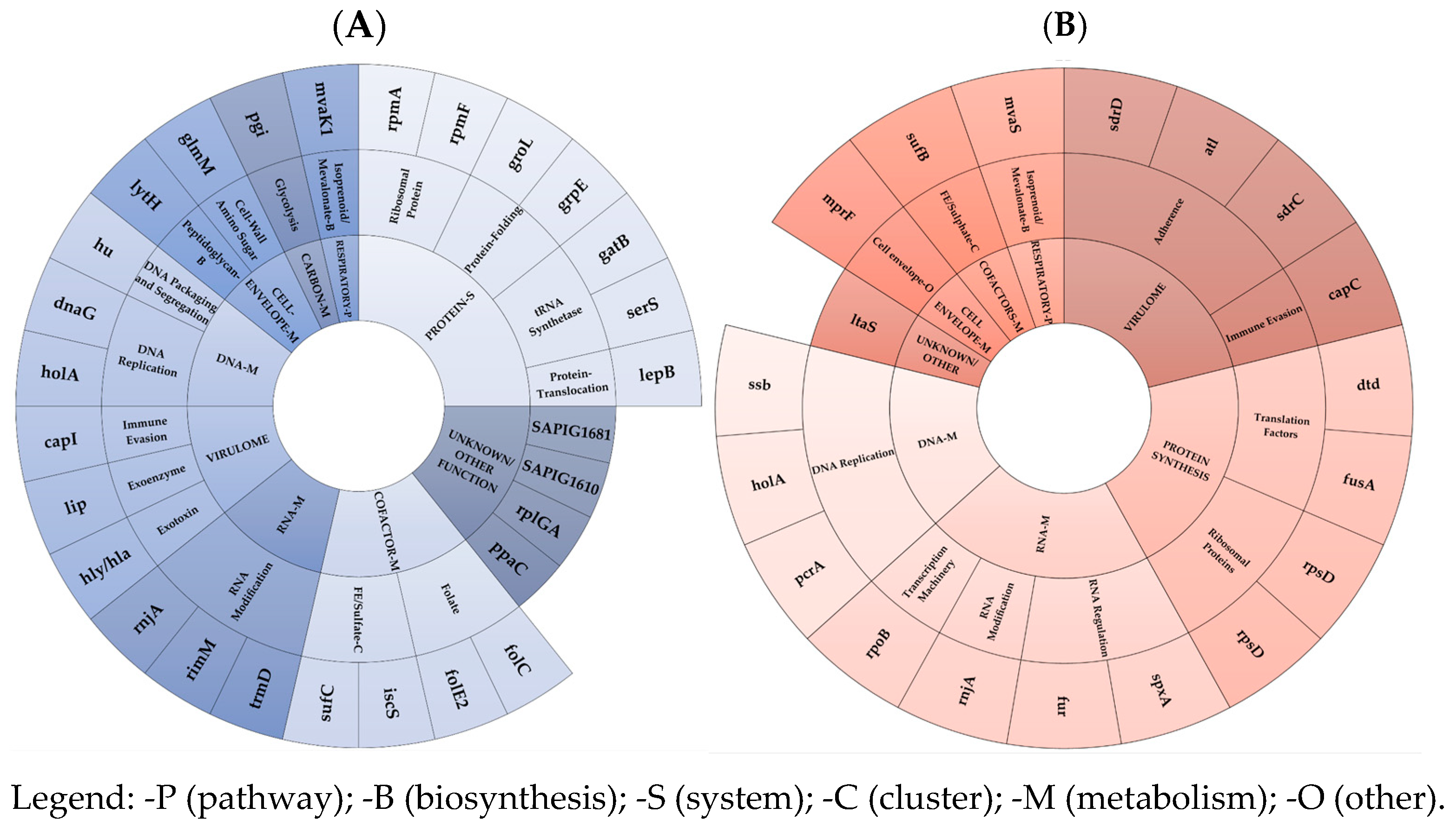 Antibiotics 14 00465 g002
