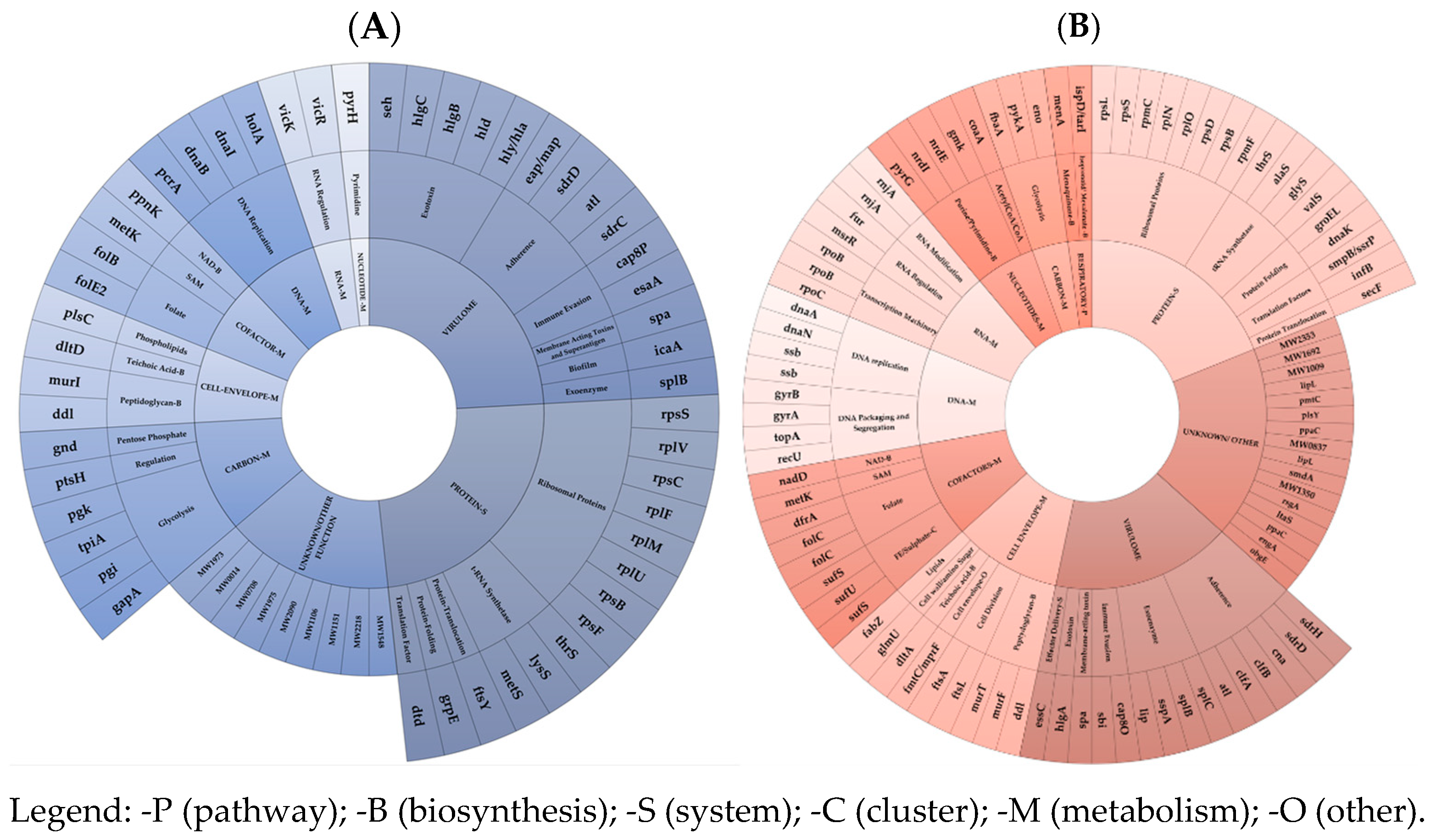 Antibiotics 14 00465 g003
