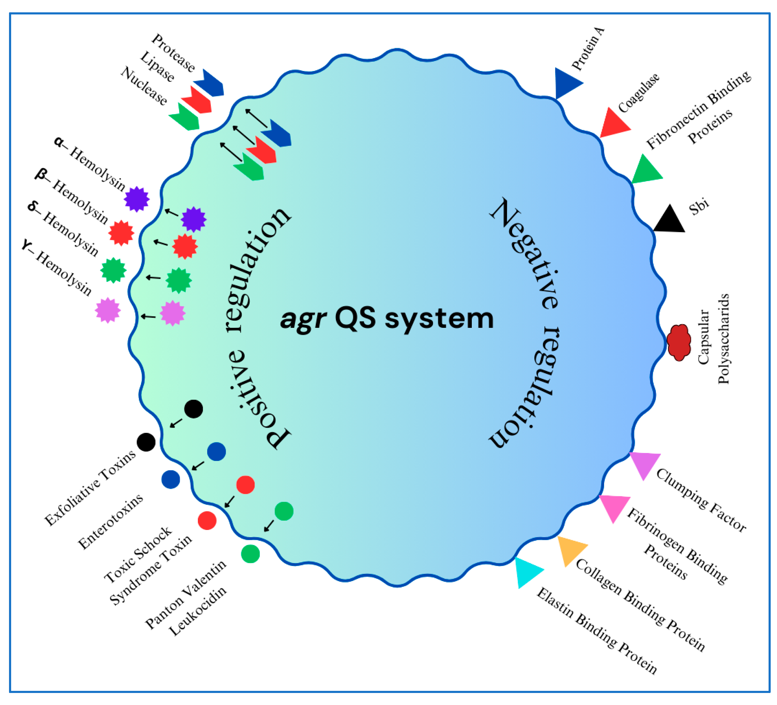 Antibiotics 14 00470 g002 Antibiotics 14 00470 g002
