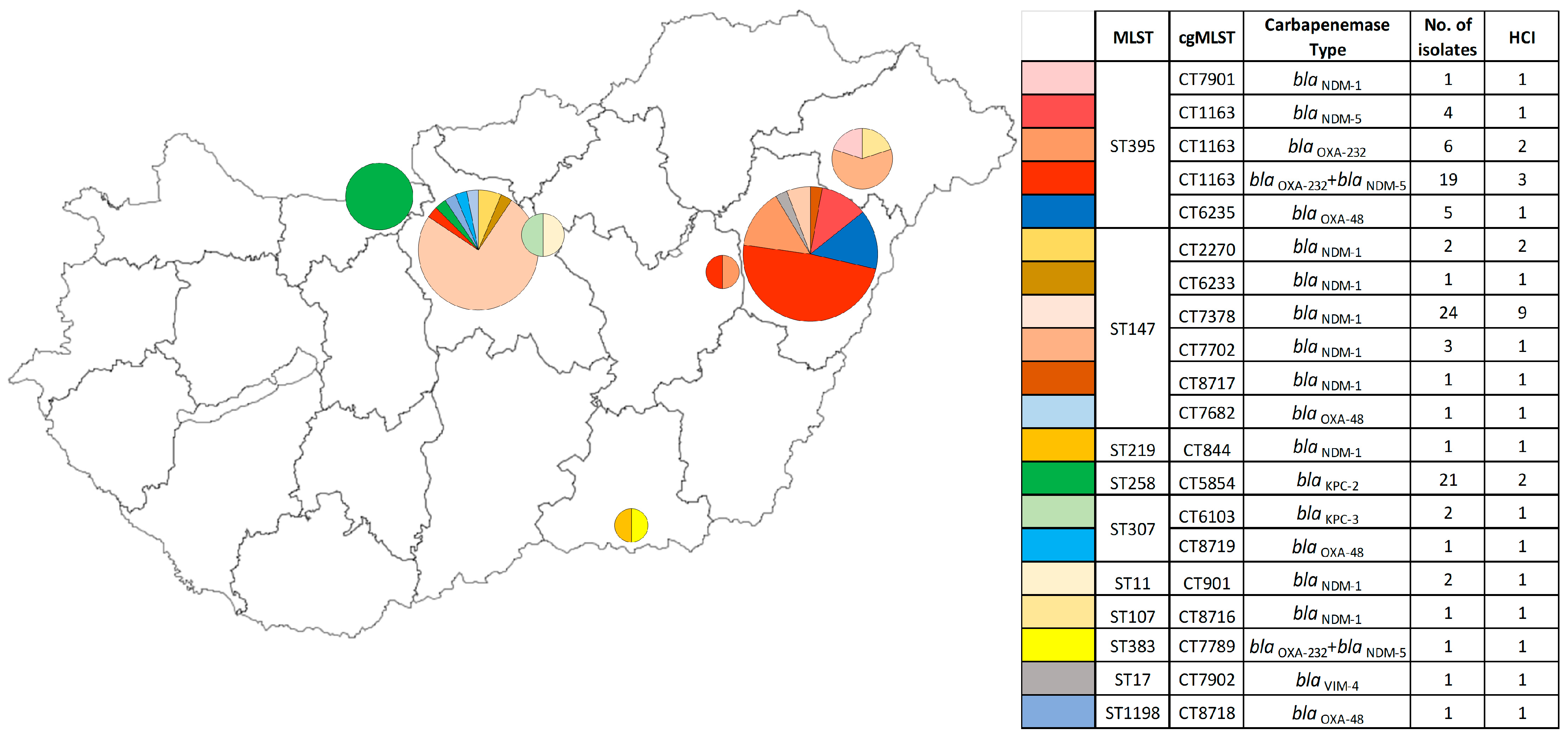 Antibiotics 14 00475 g005