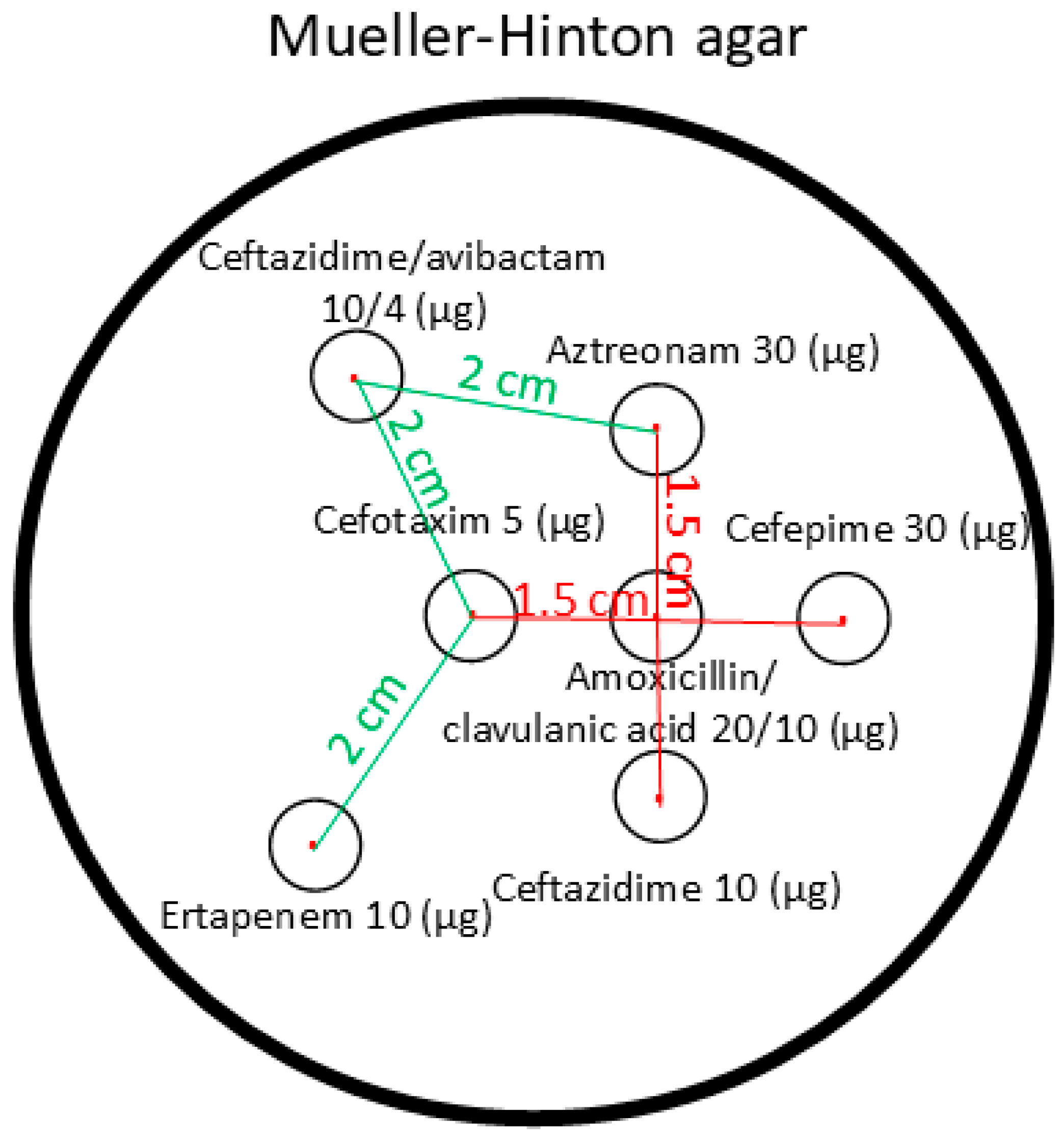 Antibiotics 14 00475 g007