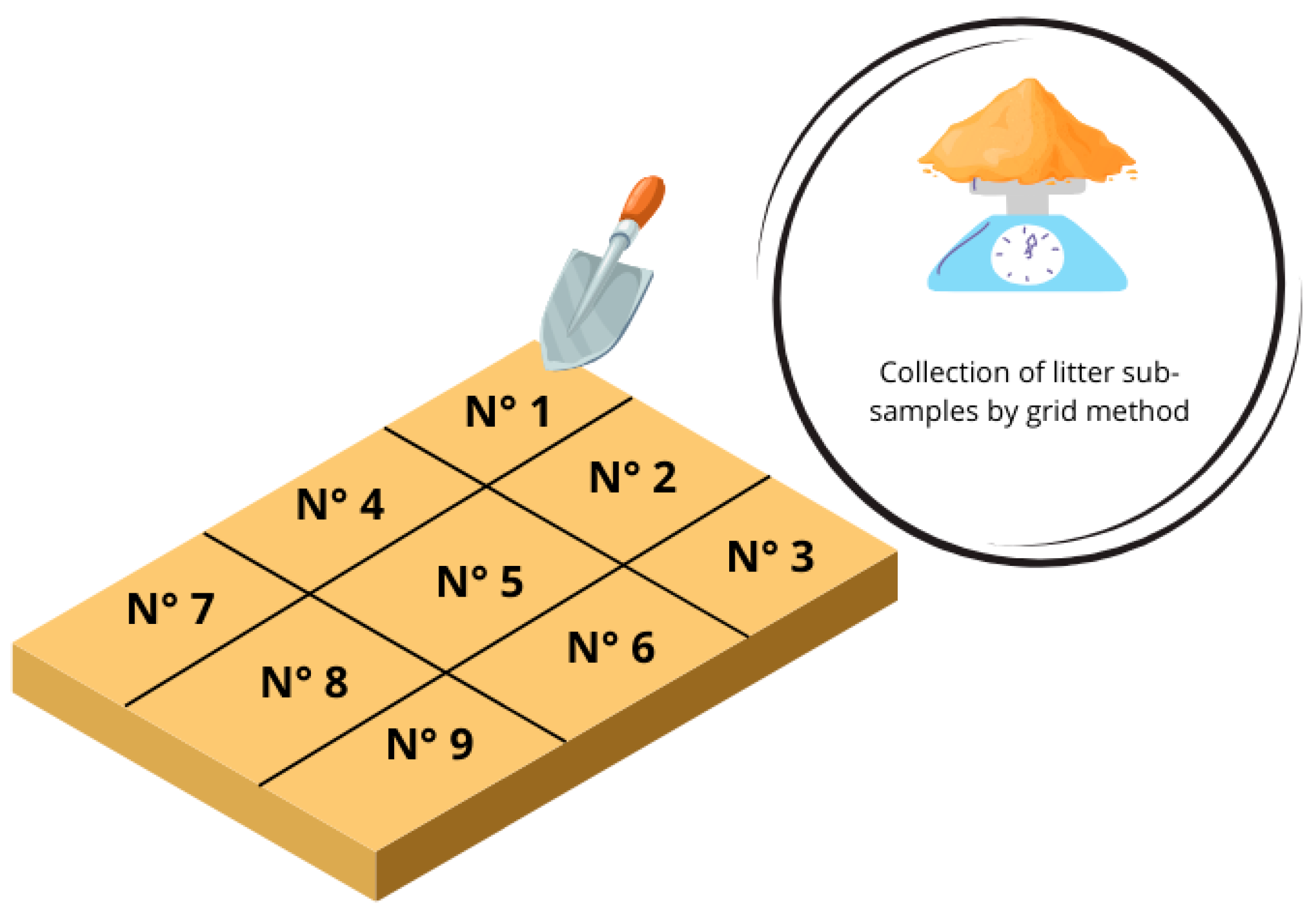 Antibiotics 14 00477 g004