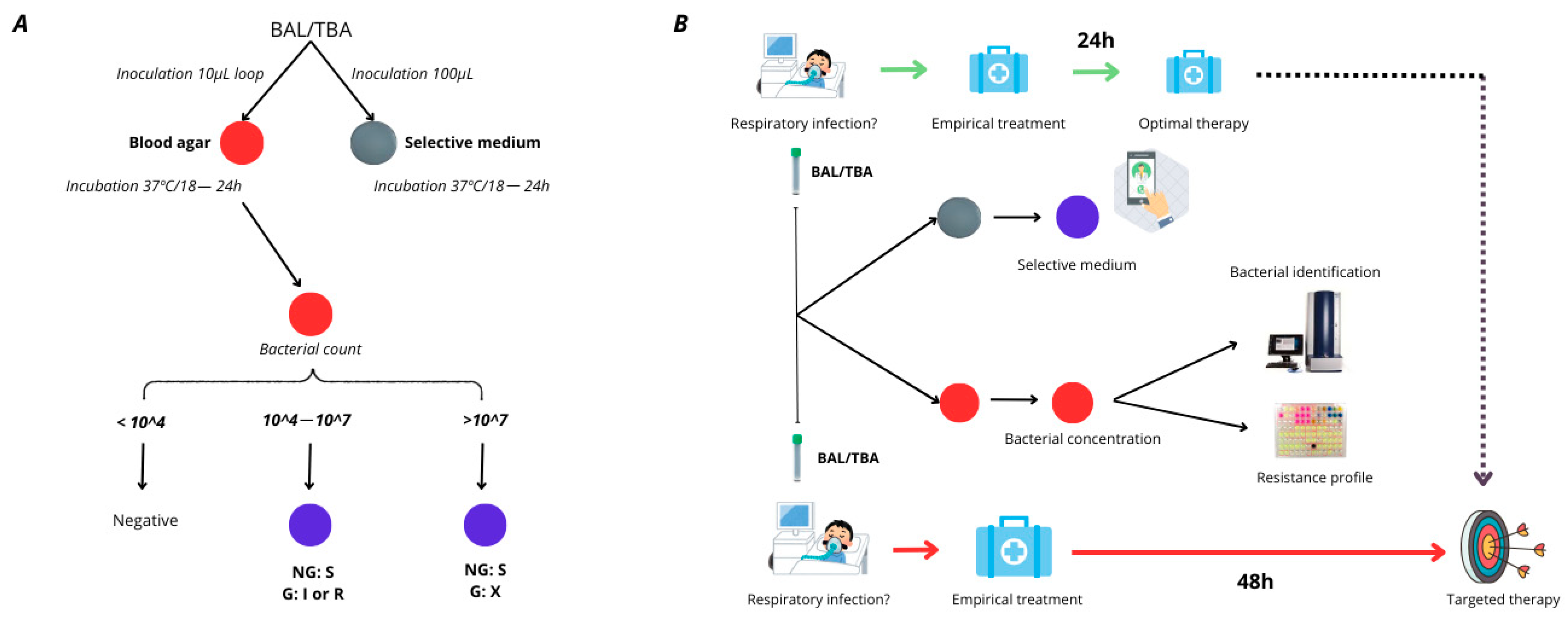 Antibiotics 14 00480 g001