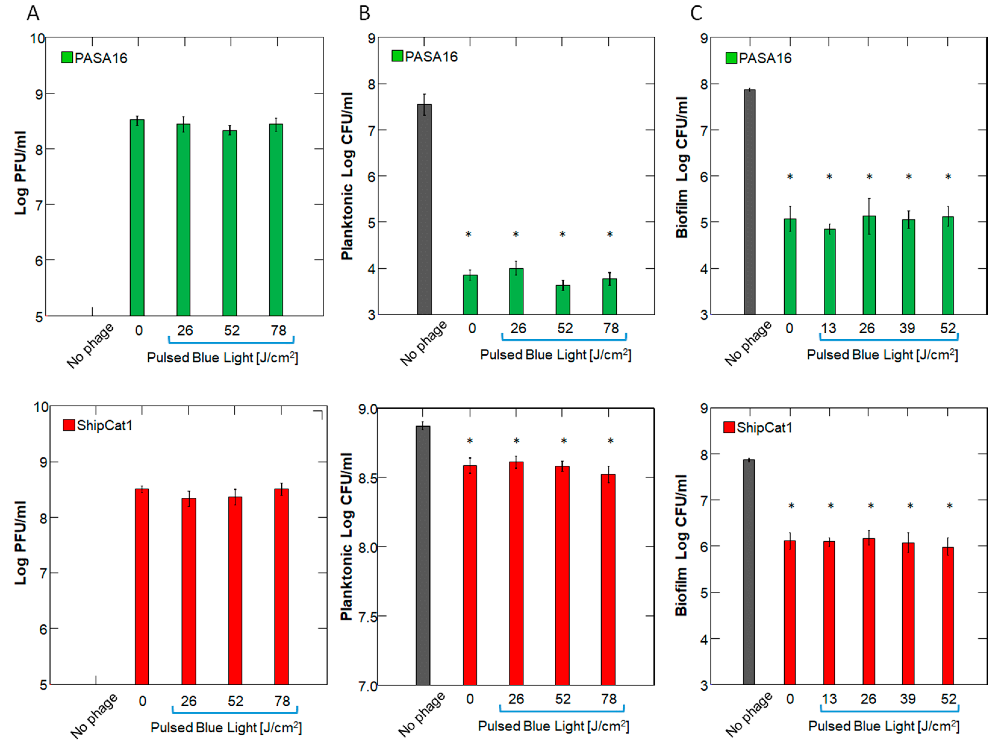 Antibiotics 14 00481 g001