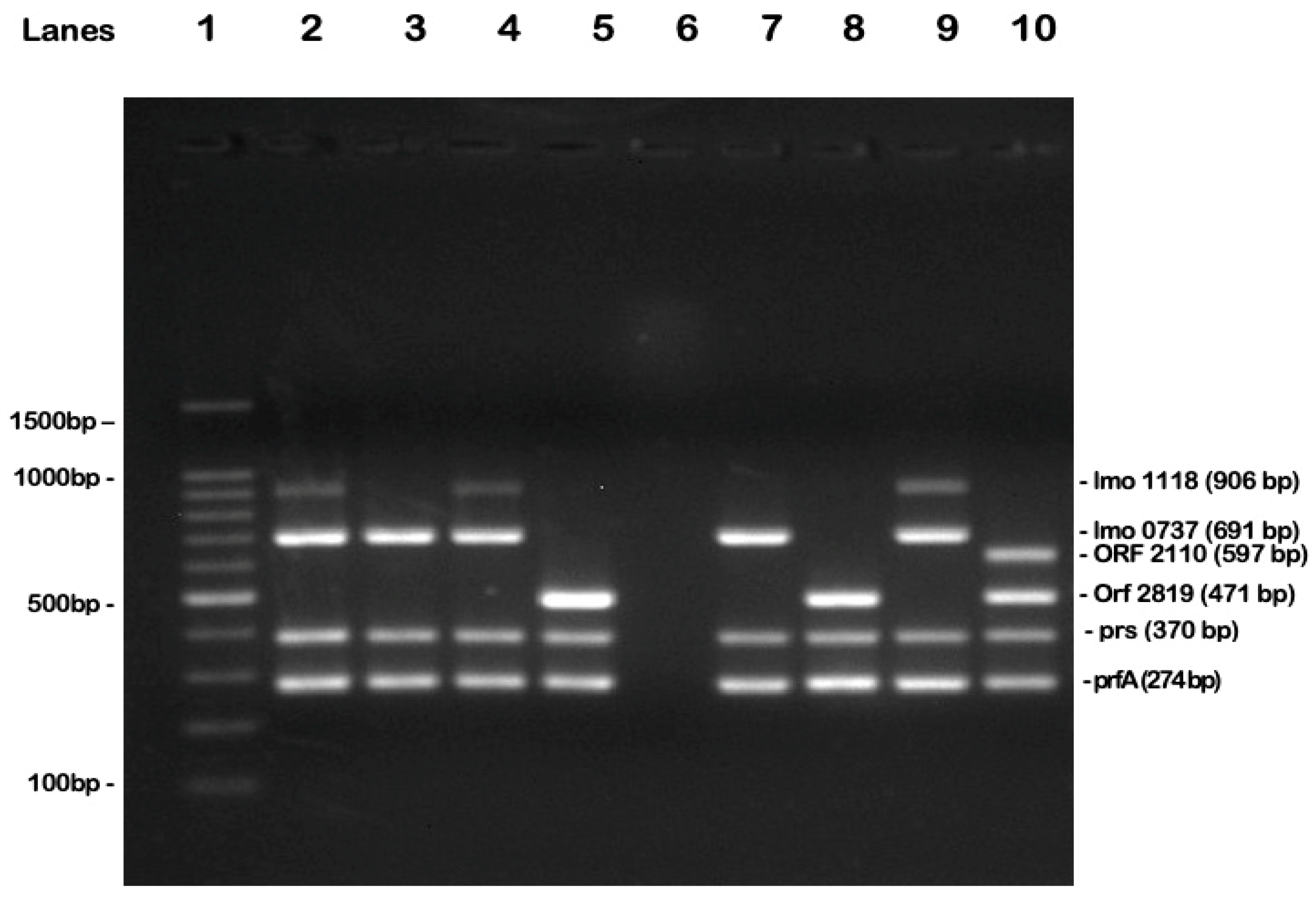 Antibiotics 14 00482 g006