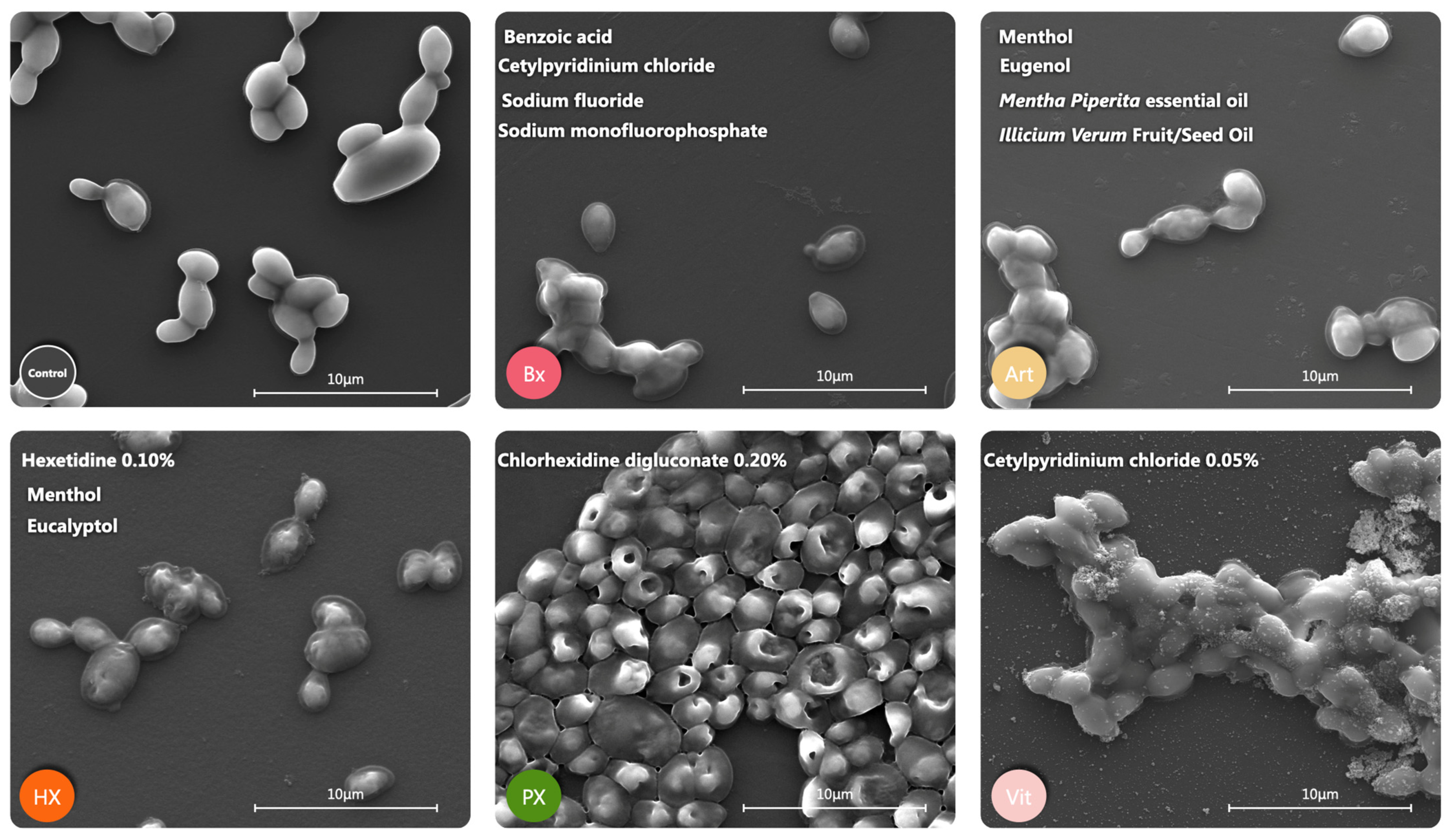 Antibiotics 14 00483 g004
