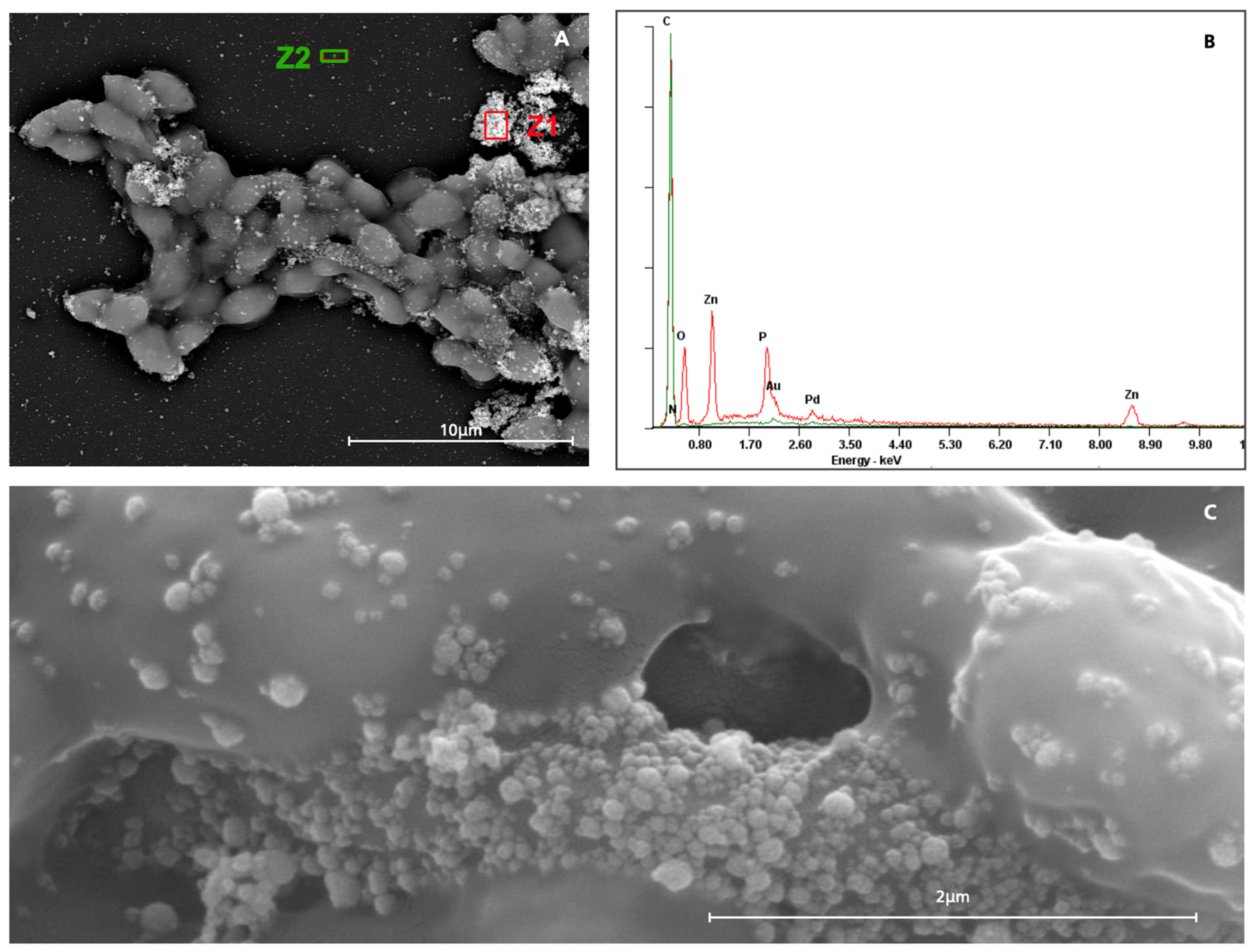 Antibiotics 14 00483 g005