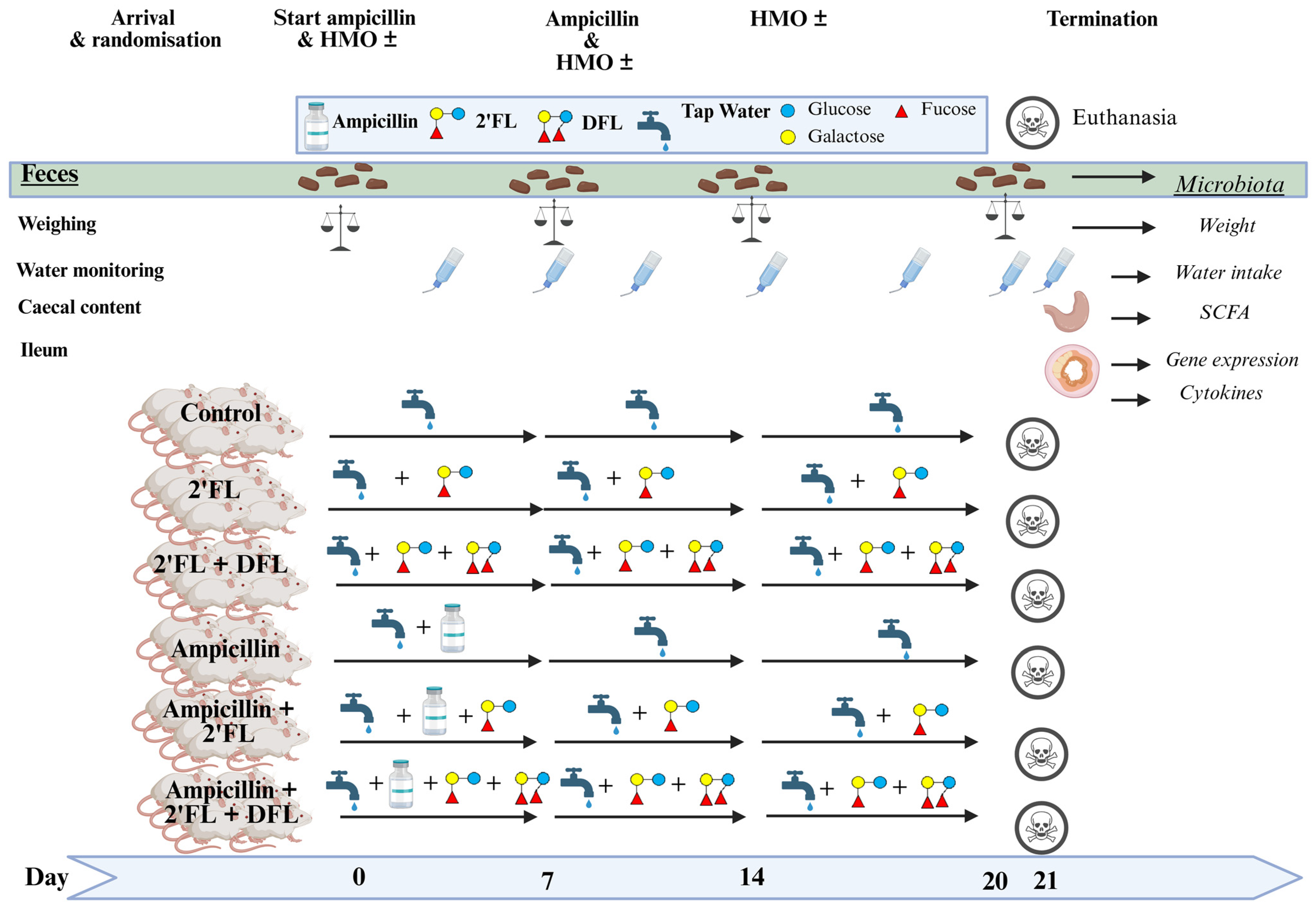 Antibiotics 14 00488 g001