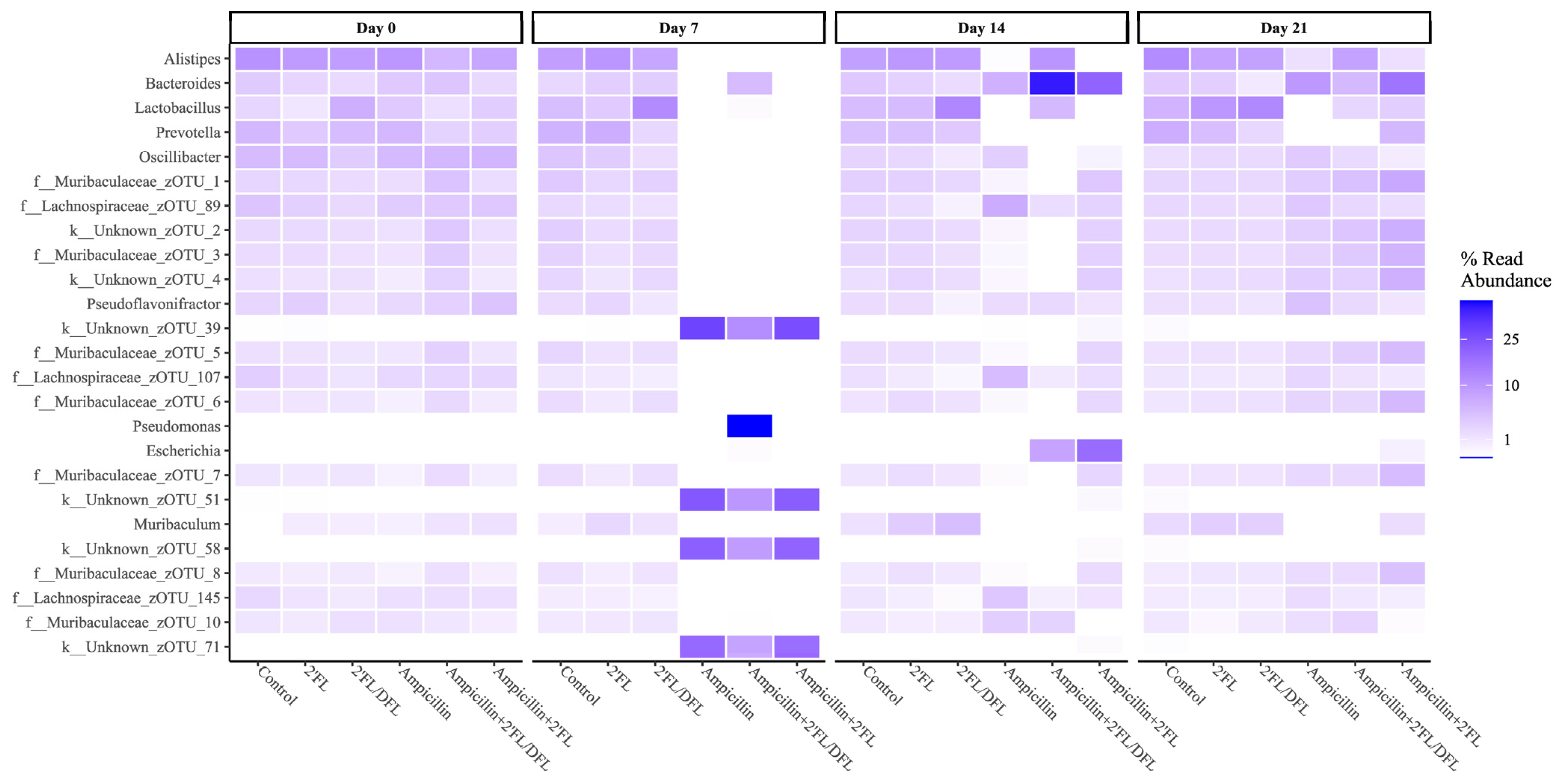 Antibiotics 14 00488 g006