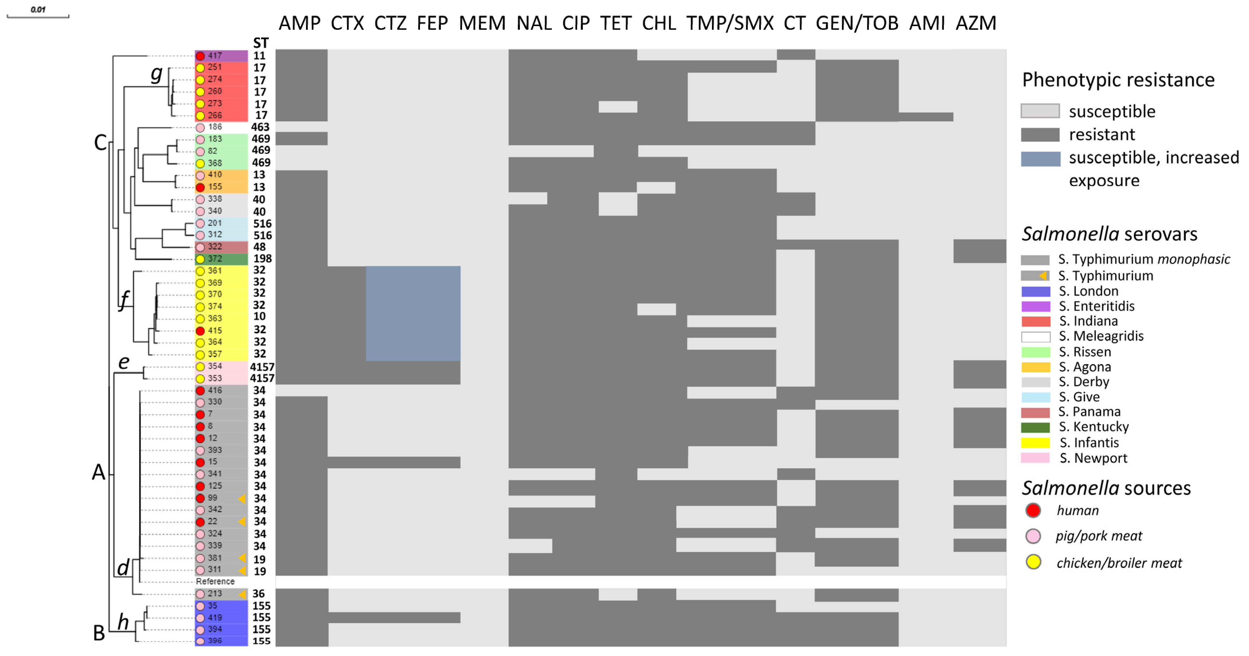 Antibiotics 14 00489 g002