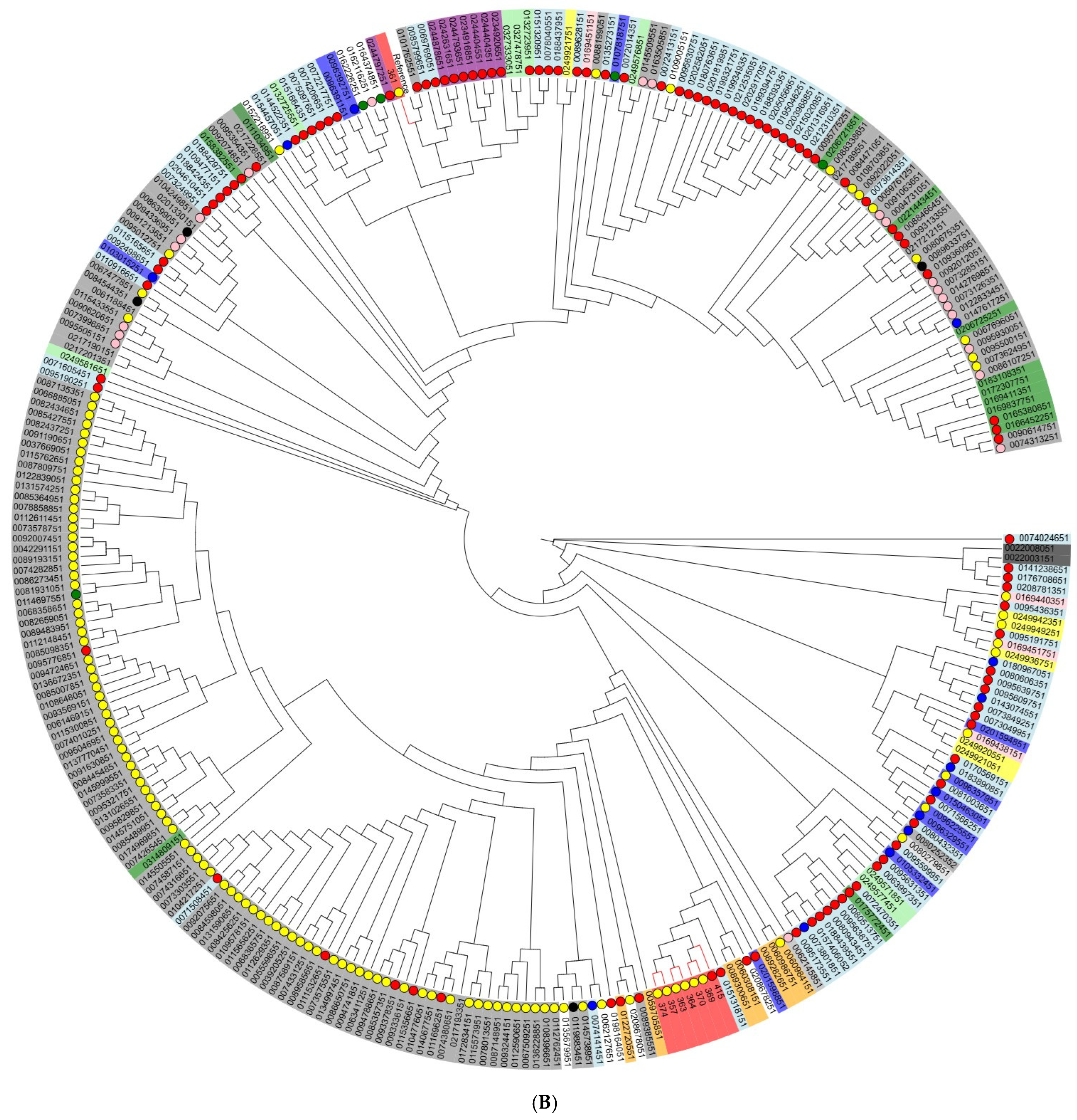 Antibiotics 14 00489 g003b