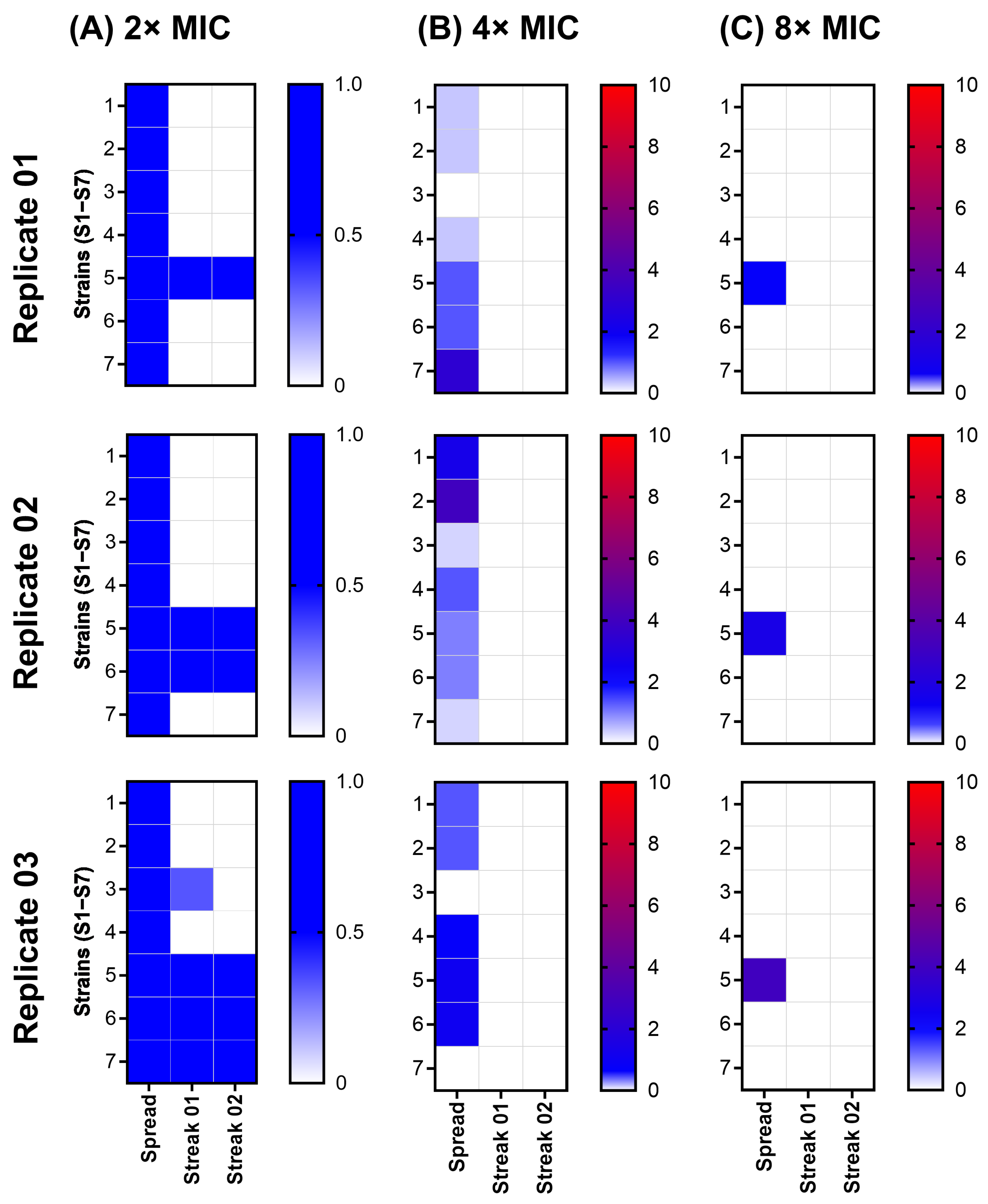 Antibiotics 14 00492 g005