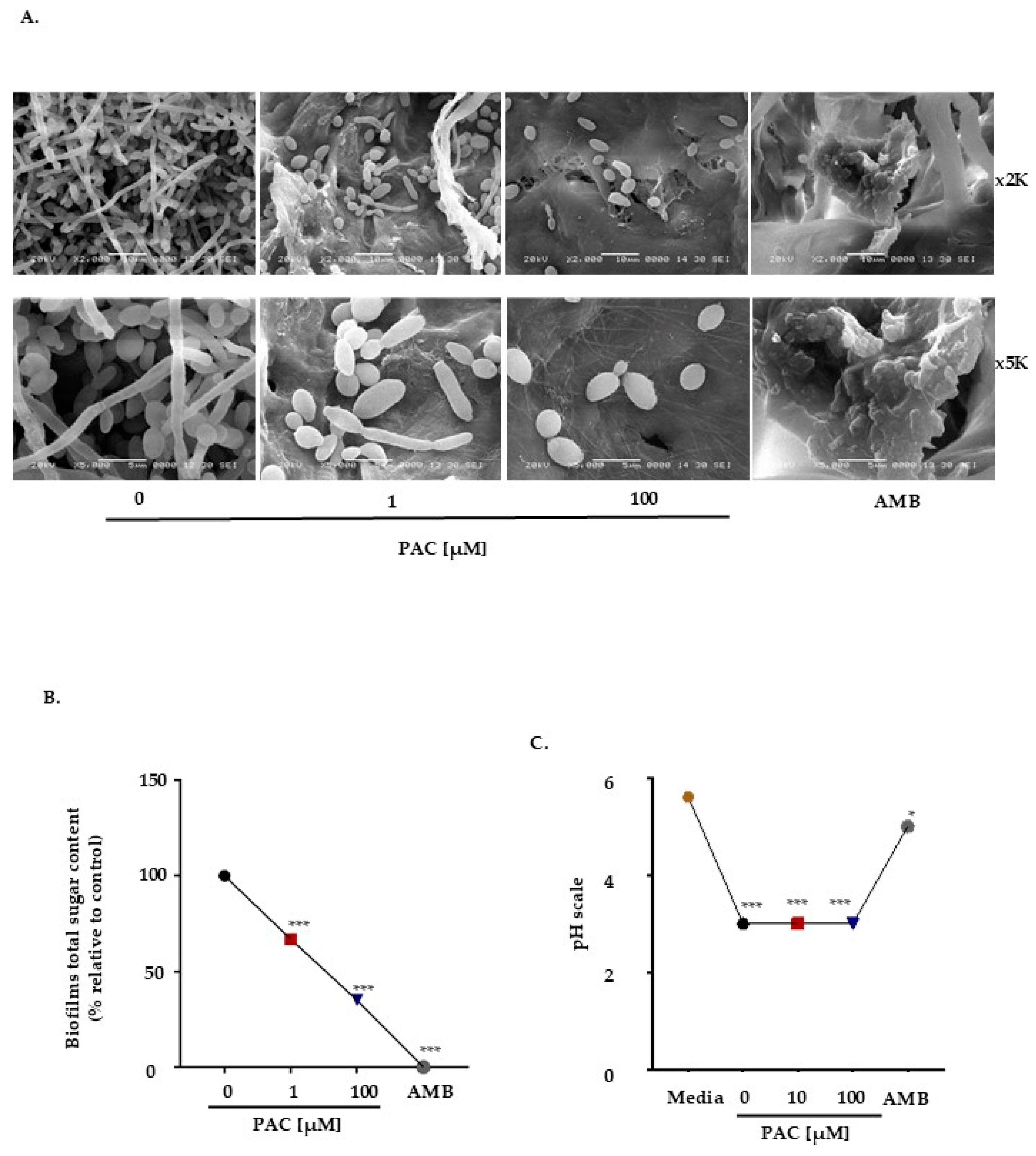 Antibiotics 14 00495 g002 Antibiotics 14 00495 g002