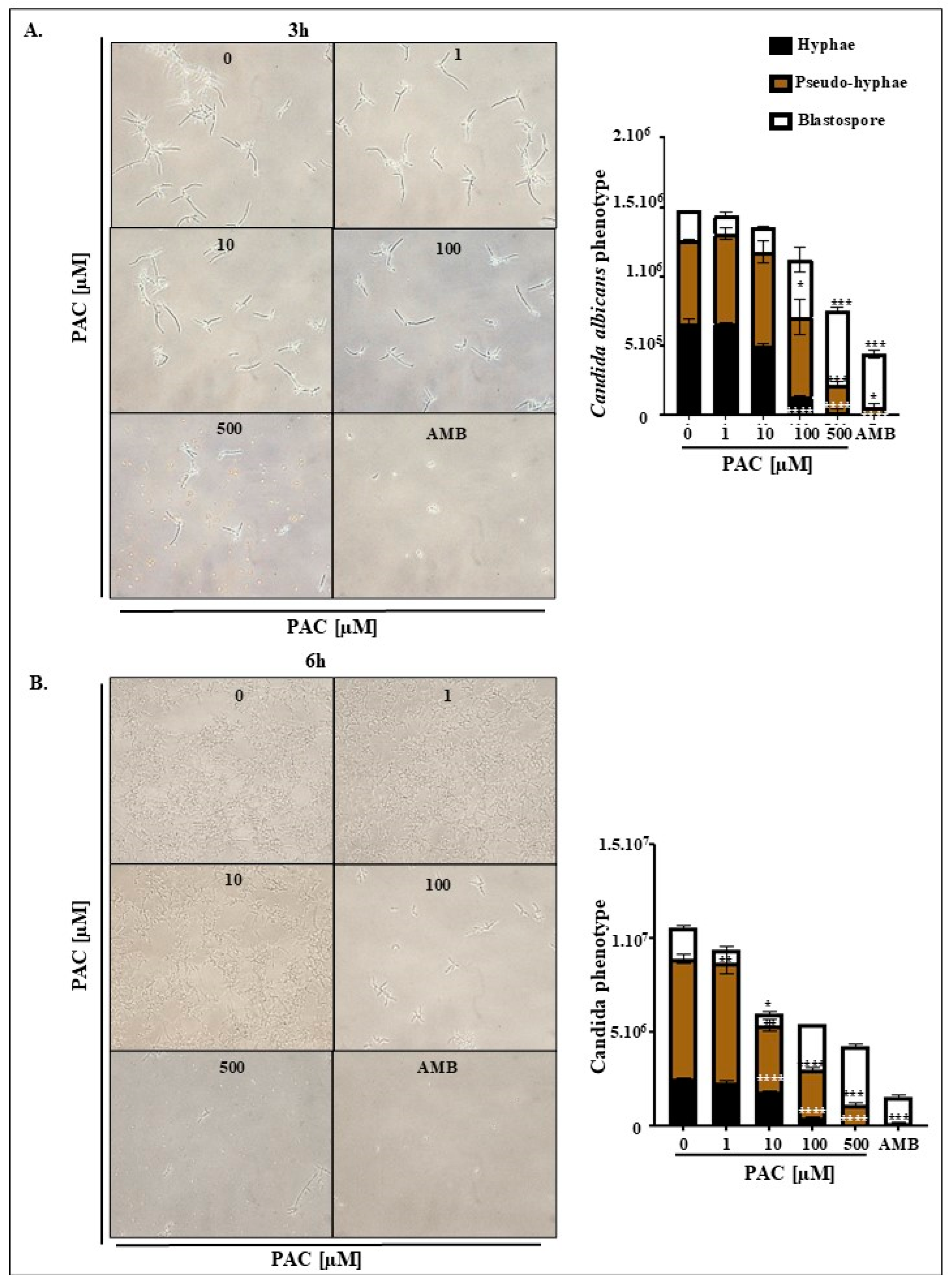 Antibiotics 14 00495 g003 Antibiotics 14 00495 g003