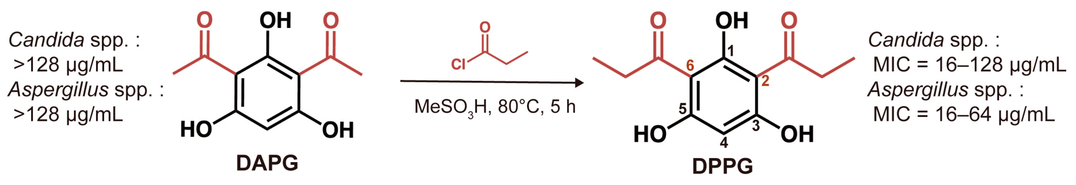 Antibiotics 14 00499 g002