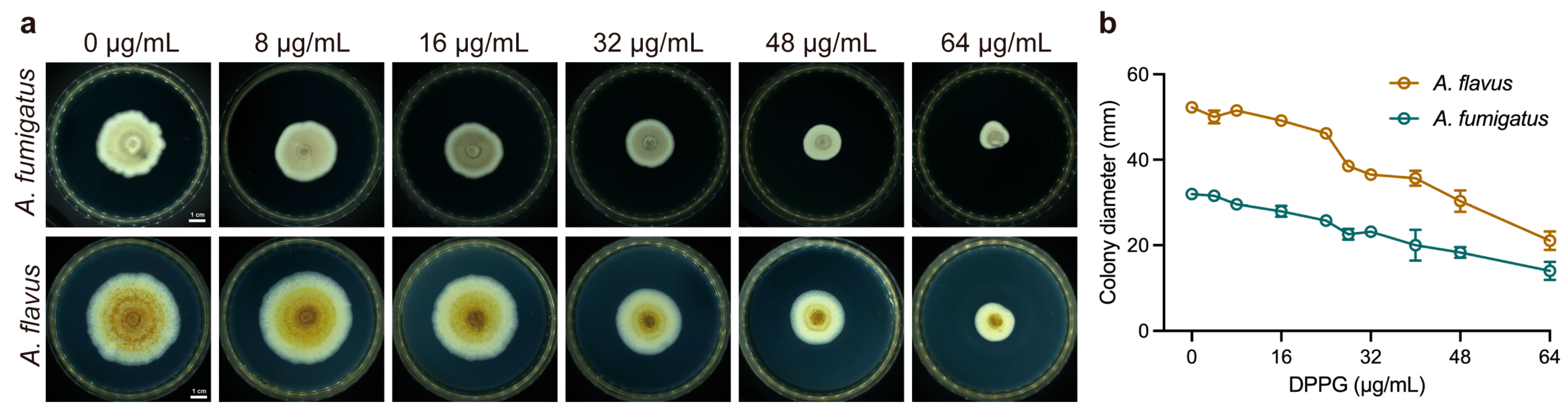 Antibiotics 14 00499 g003