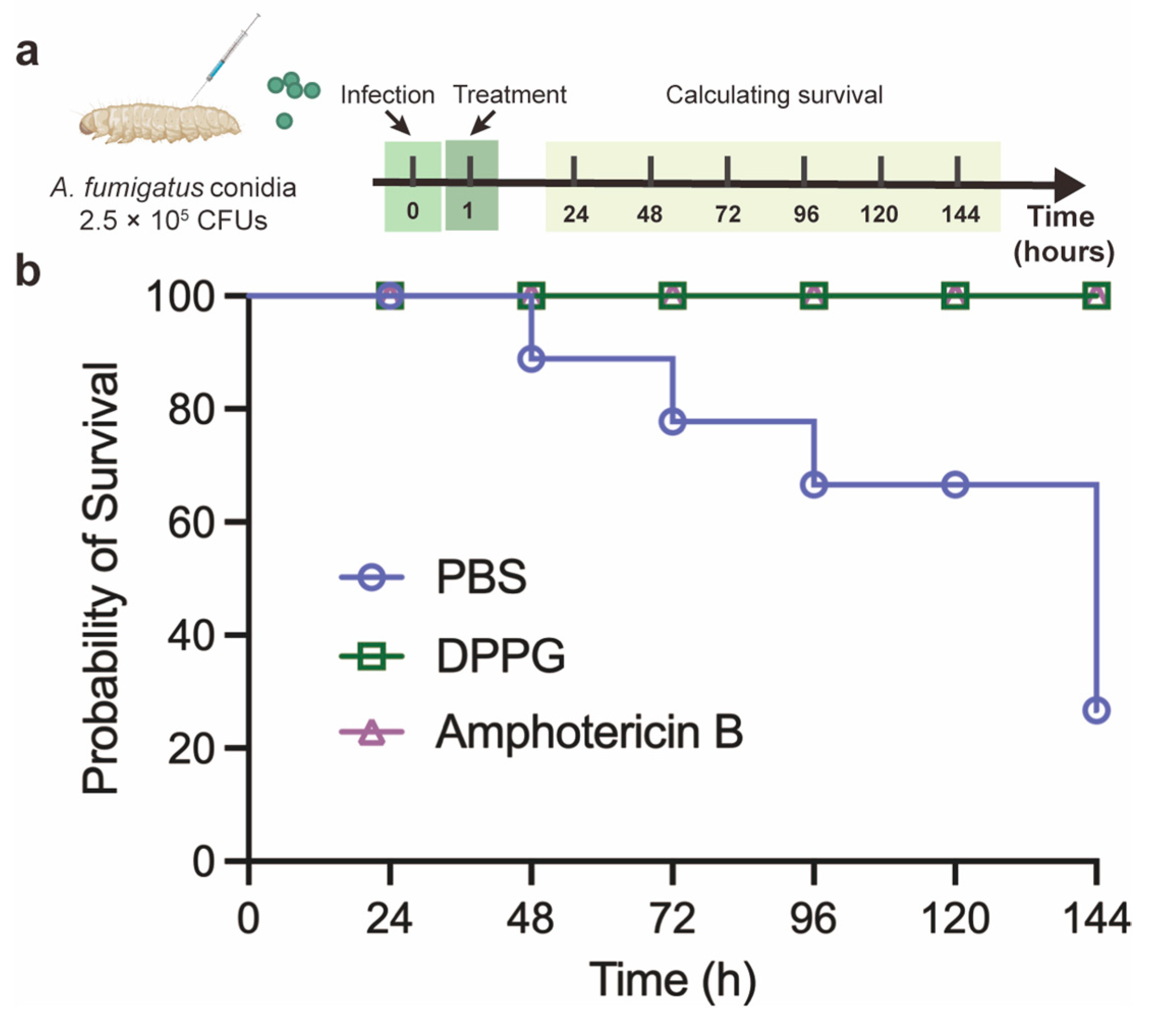 Antibiotics 14 00499 g006