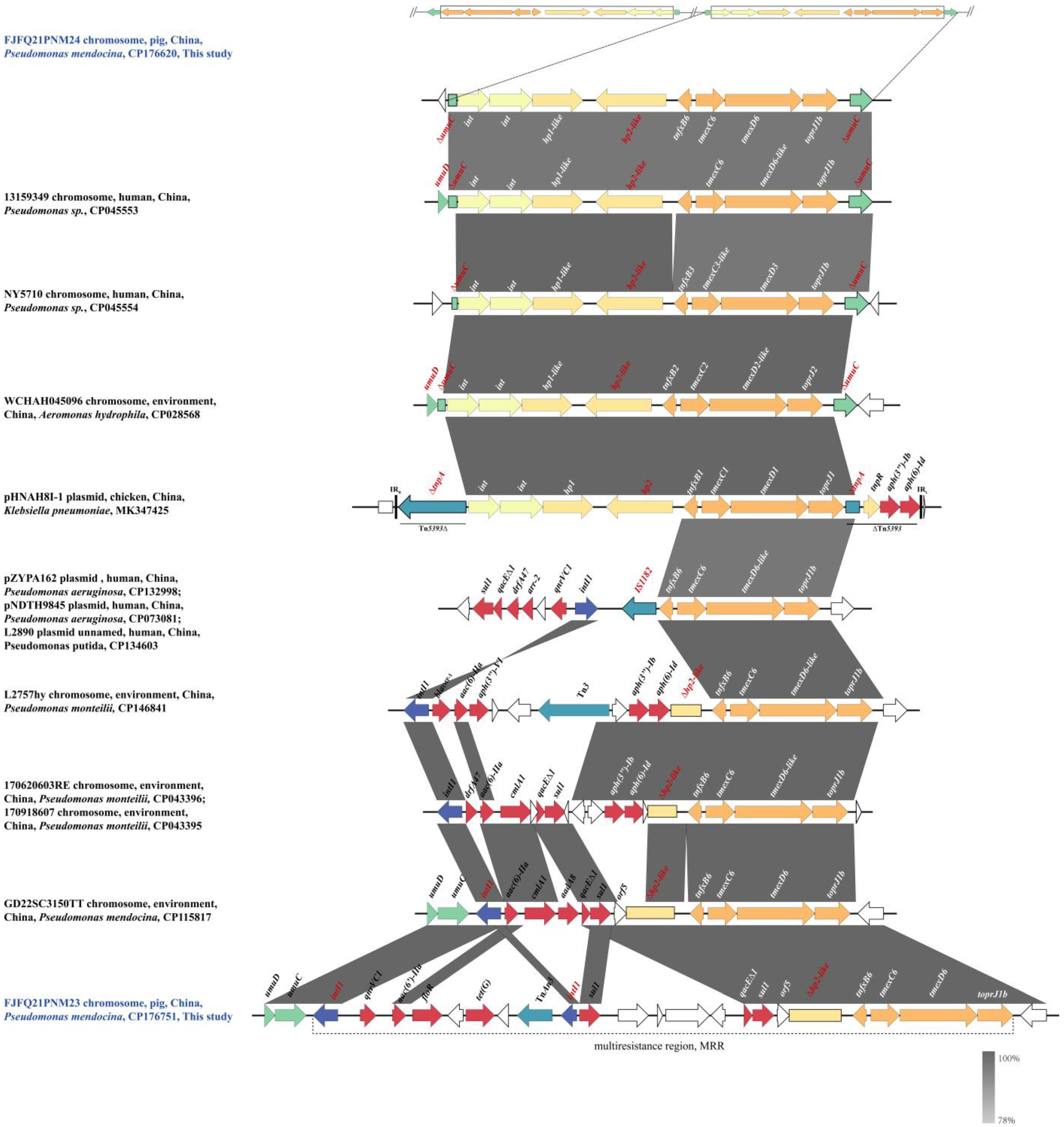 Antibiotics 14 00500 g001