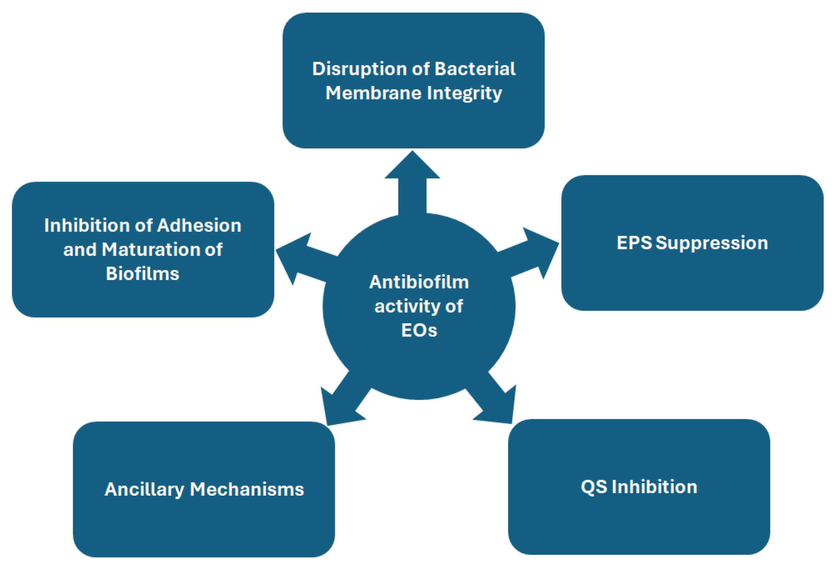 Antibiotics 14 00503 g001
