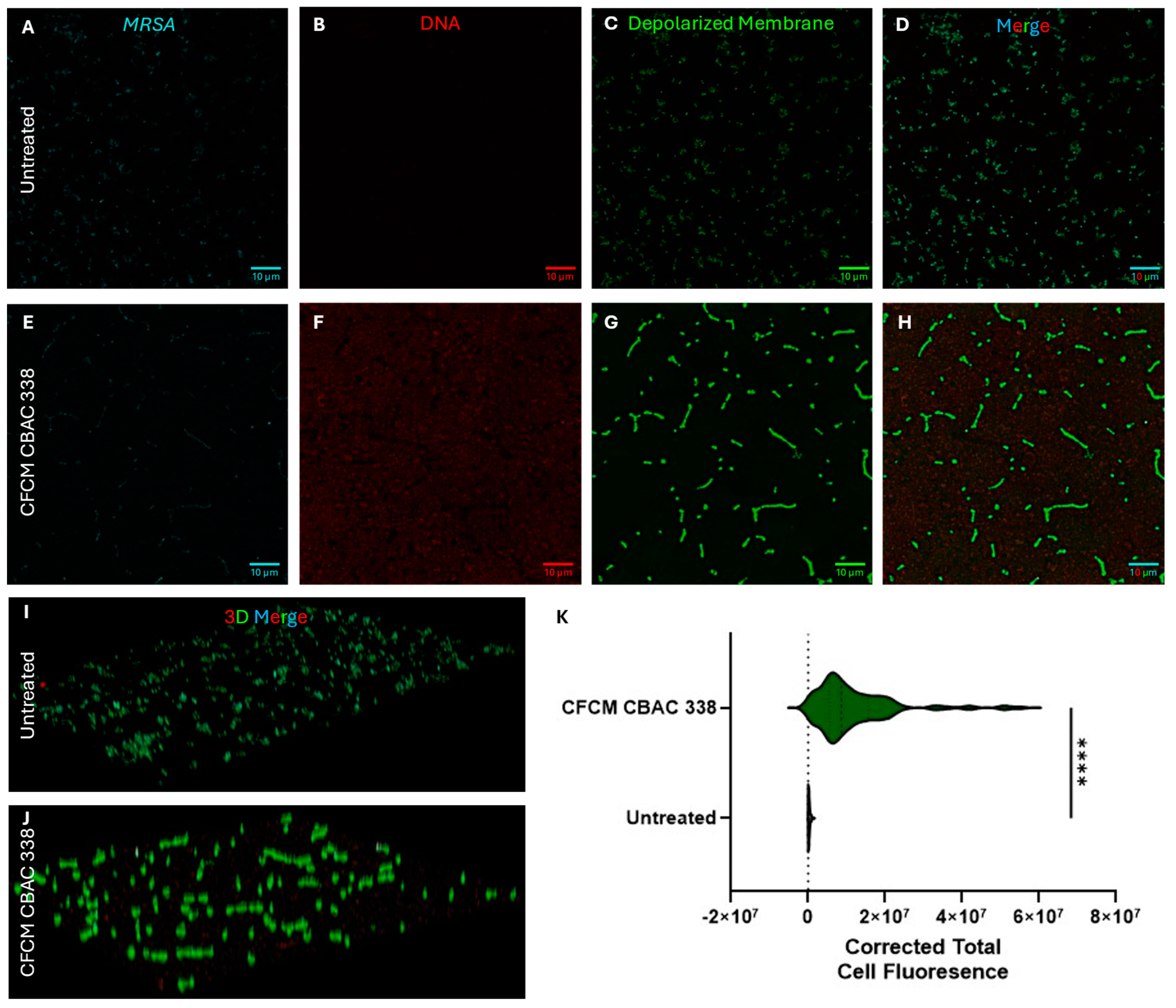 Antibiotics 14 00504 g009