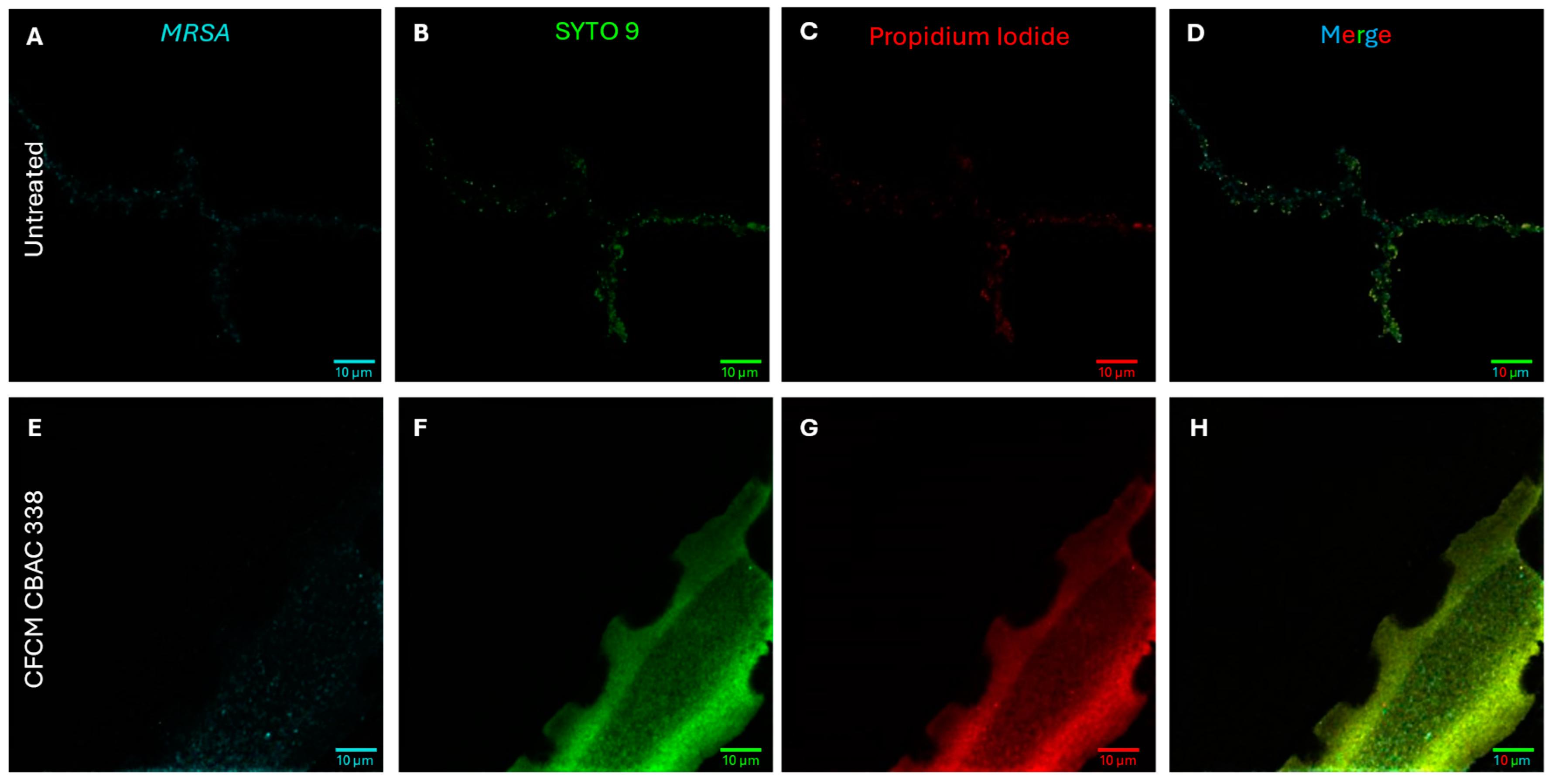 Antibiotics 14 00504 g010