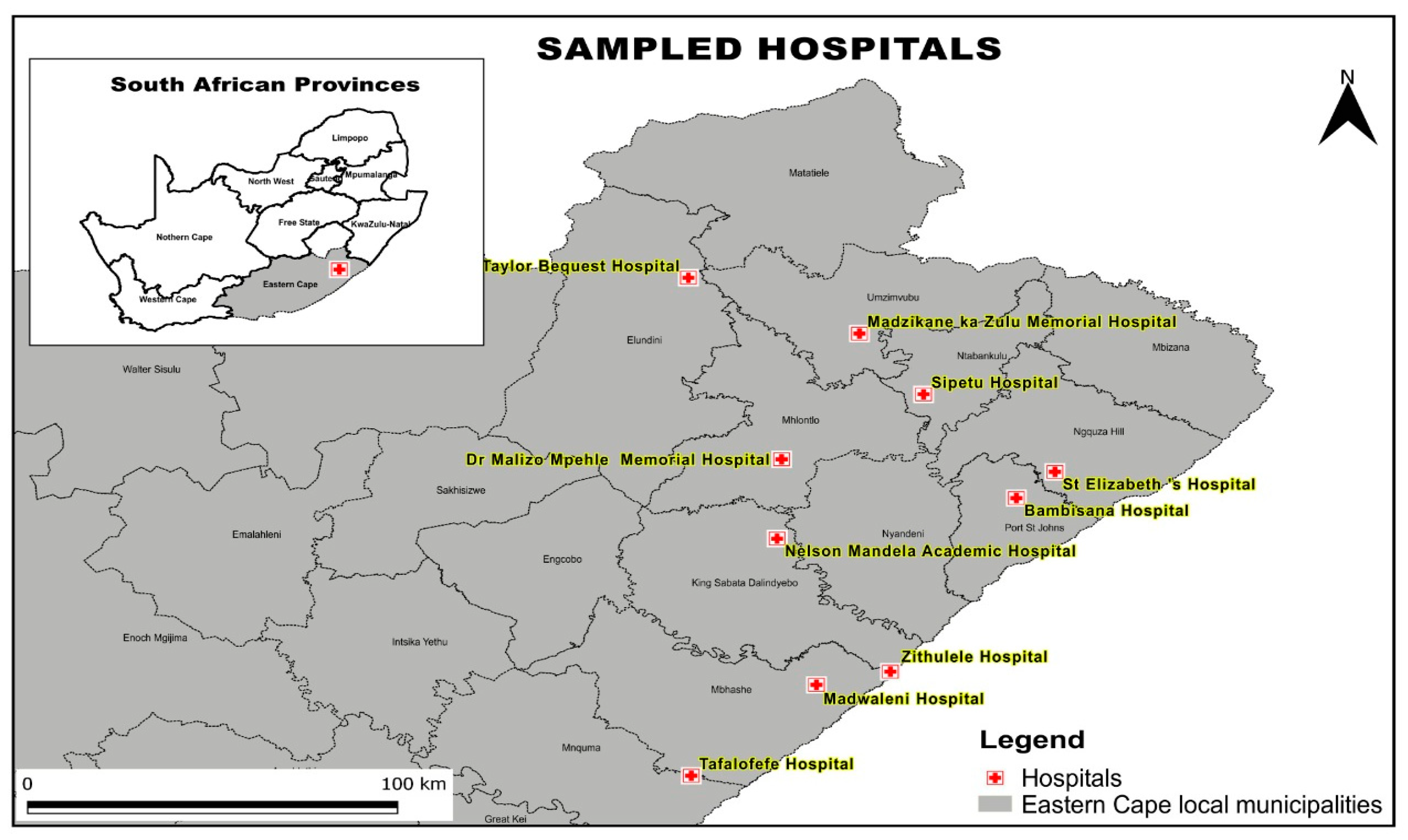 Antibiotics 14 00505 g008