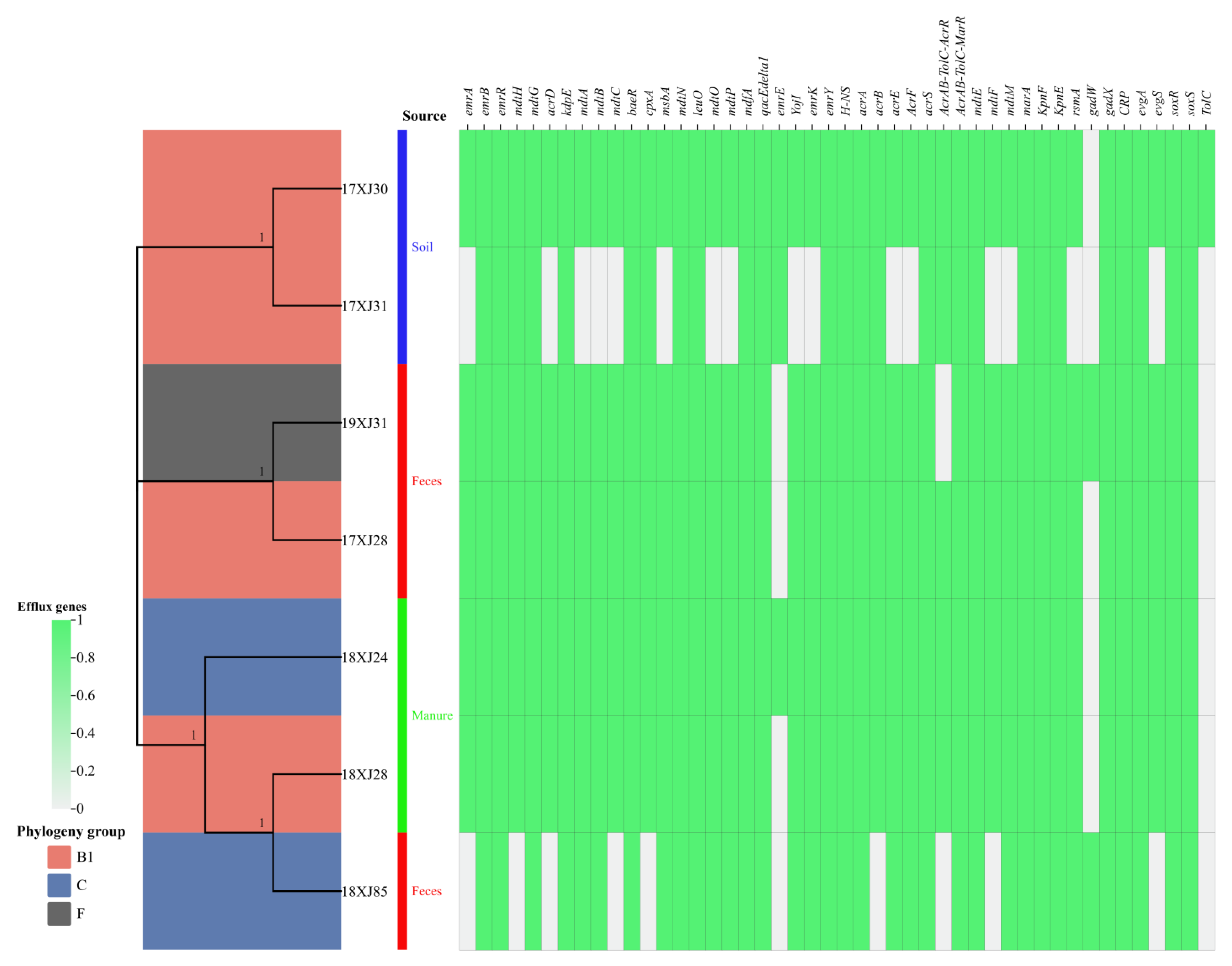 Antibiotics 14 00511 g001
