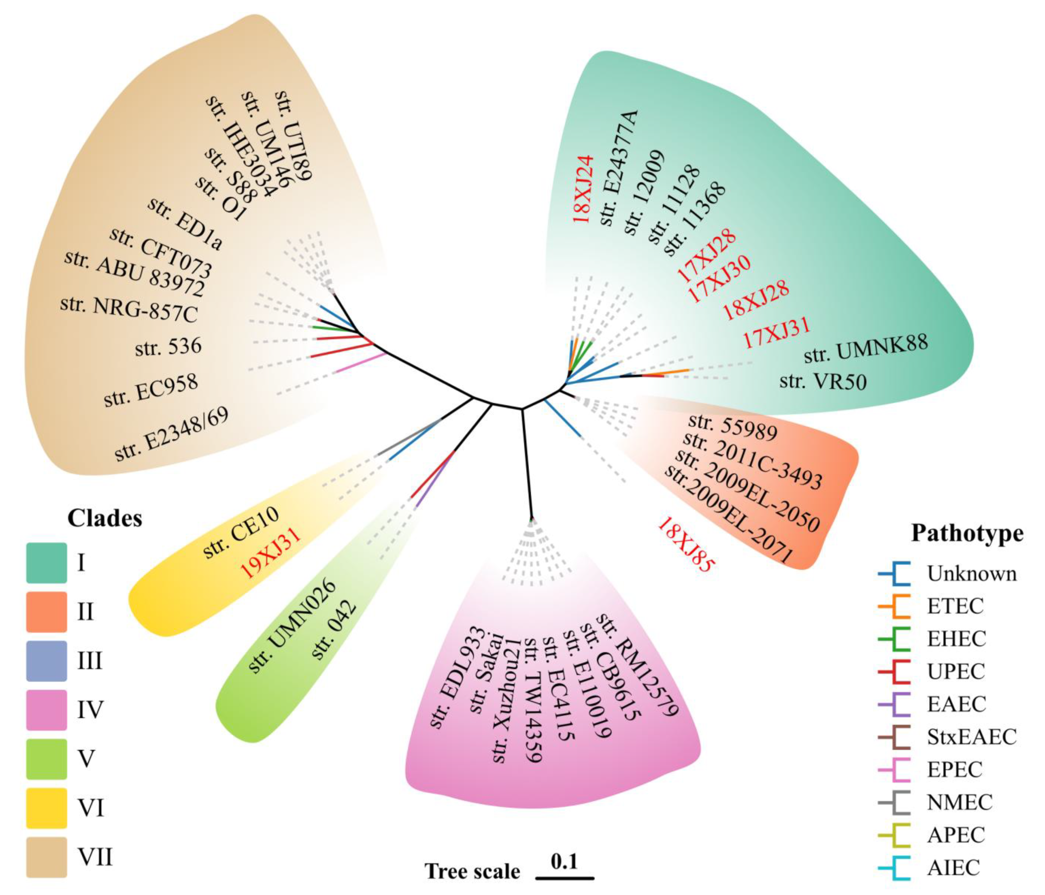 Antibiotics 14 00511 g003