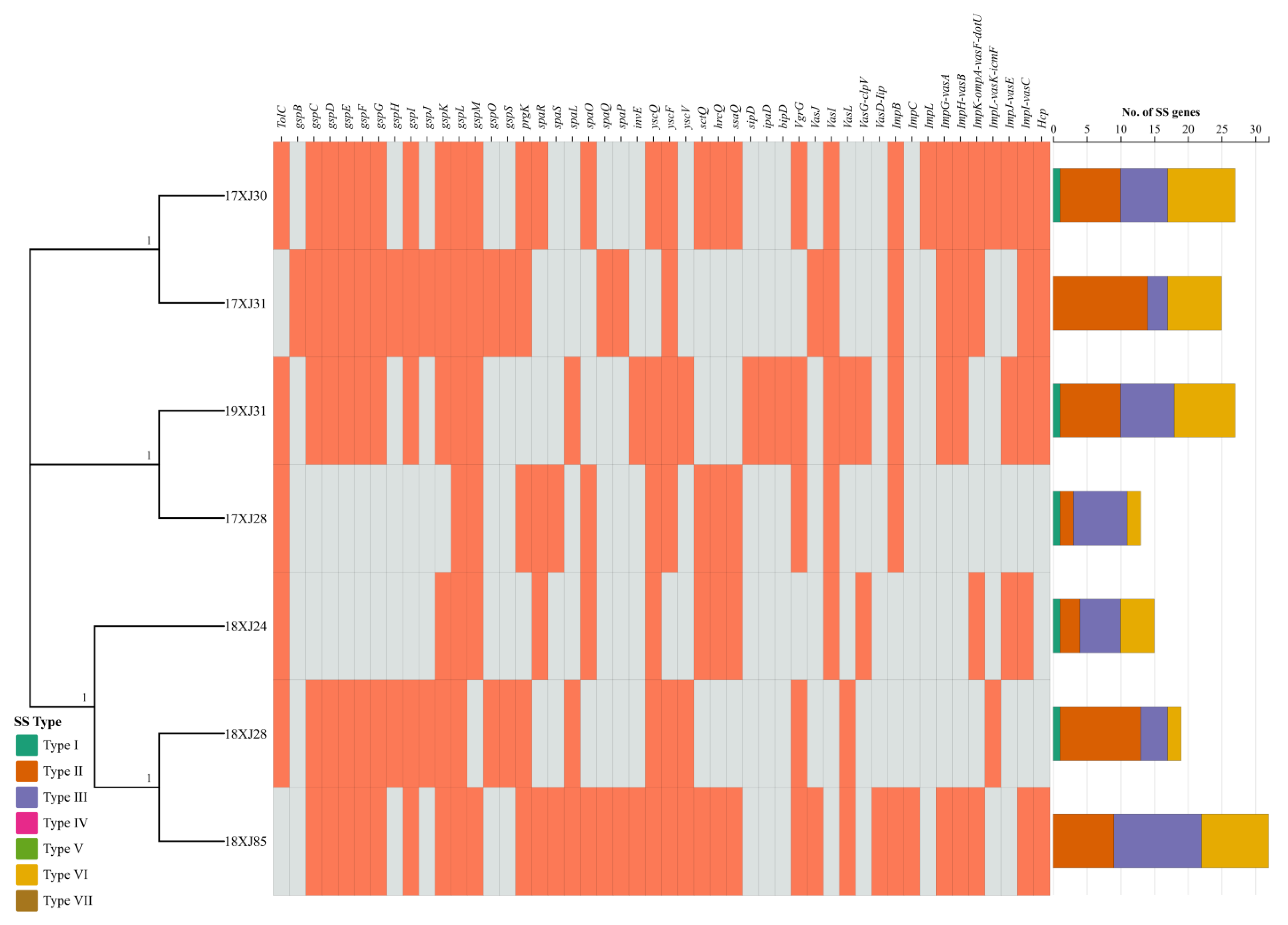 Antibiotics 14 00511 g004