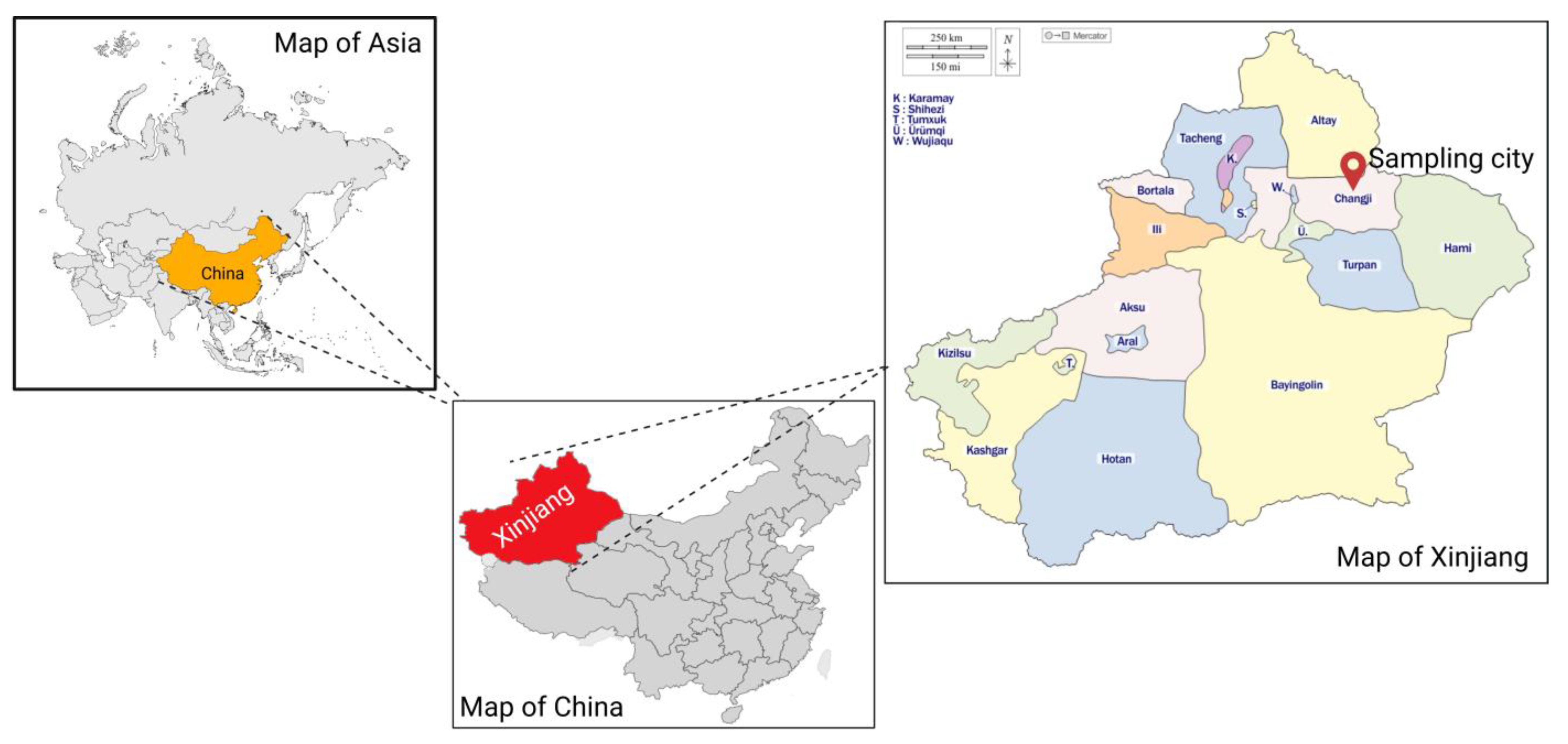 Antibiotics 14 00511 g005