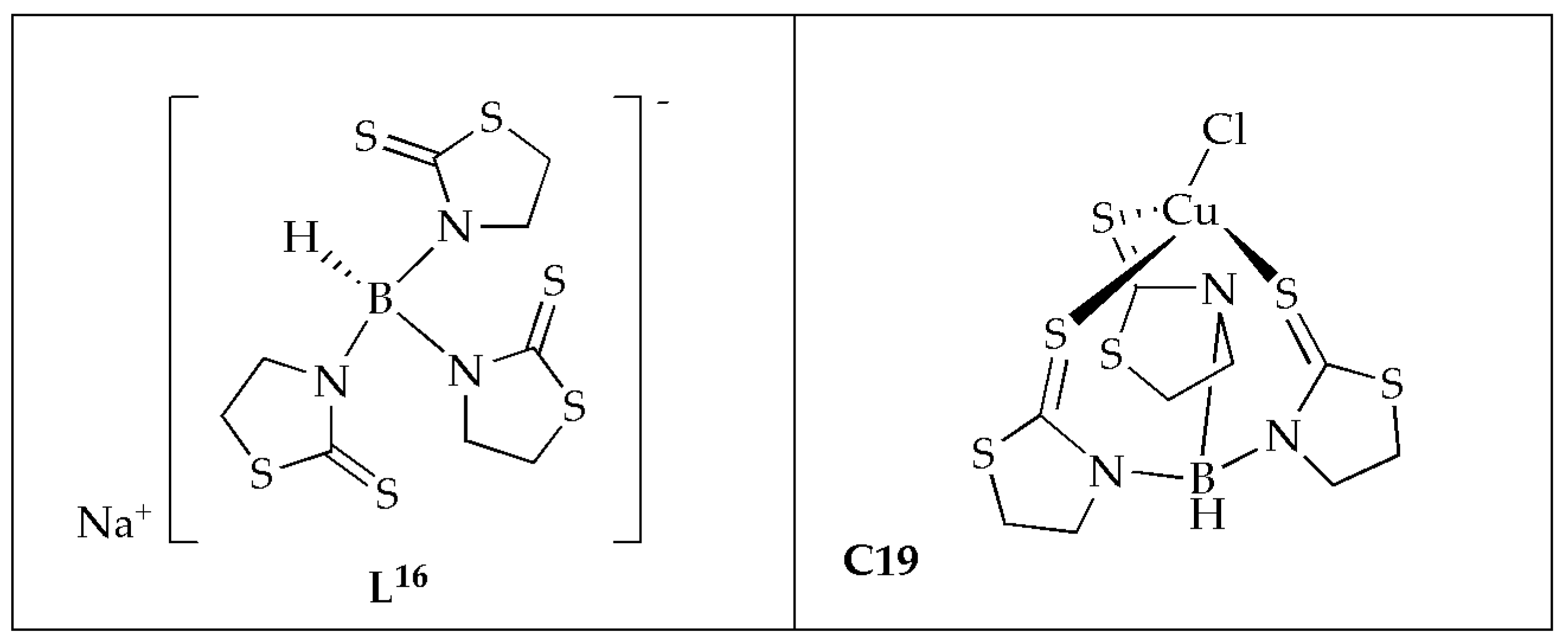 Antibiotics 14 00516 g012
