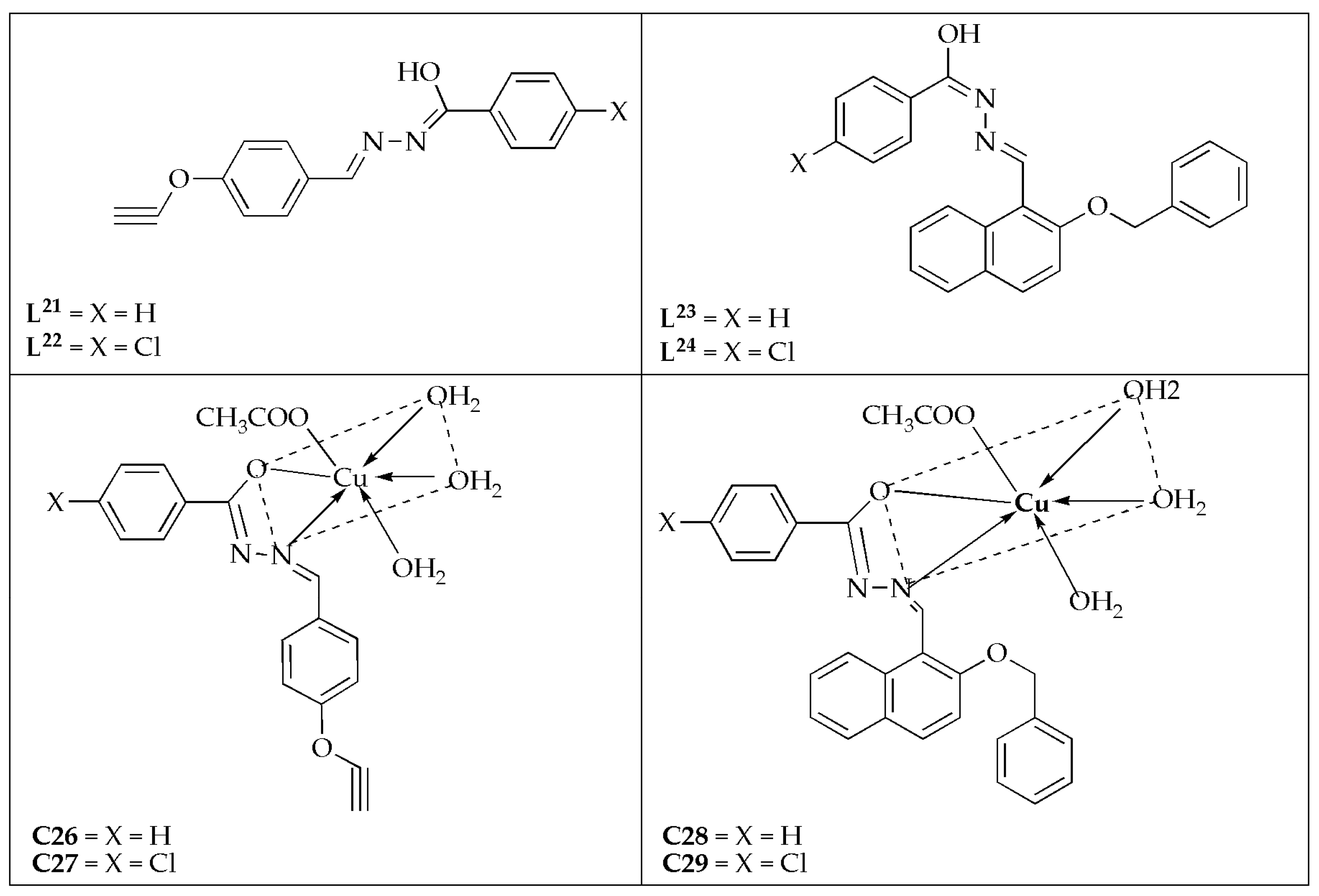 Antibiotics 14 00516 g016