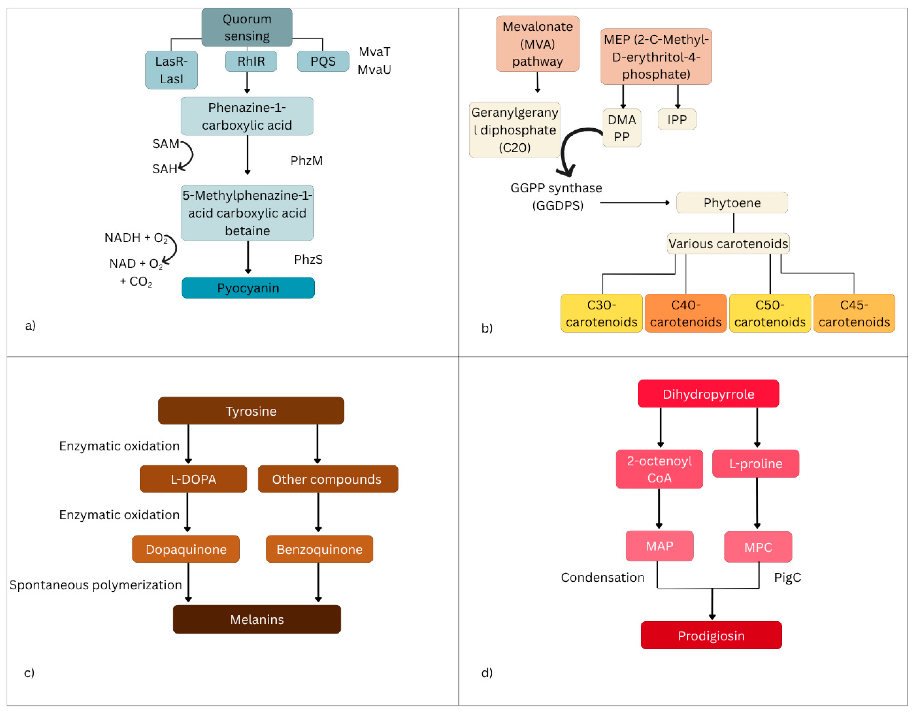 Antibiotics 14 00520 g001