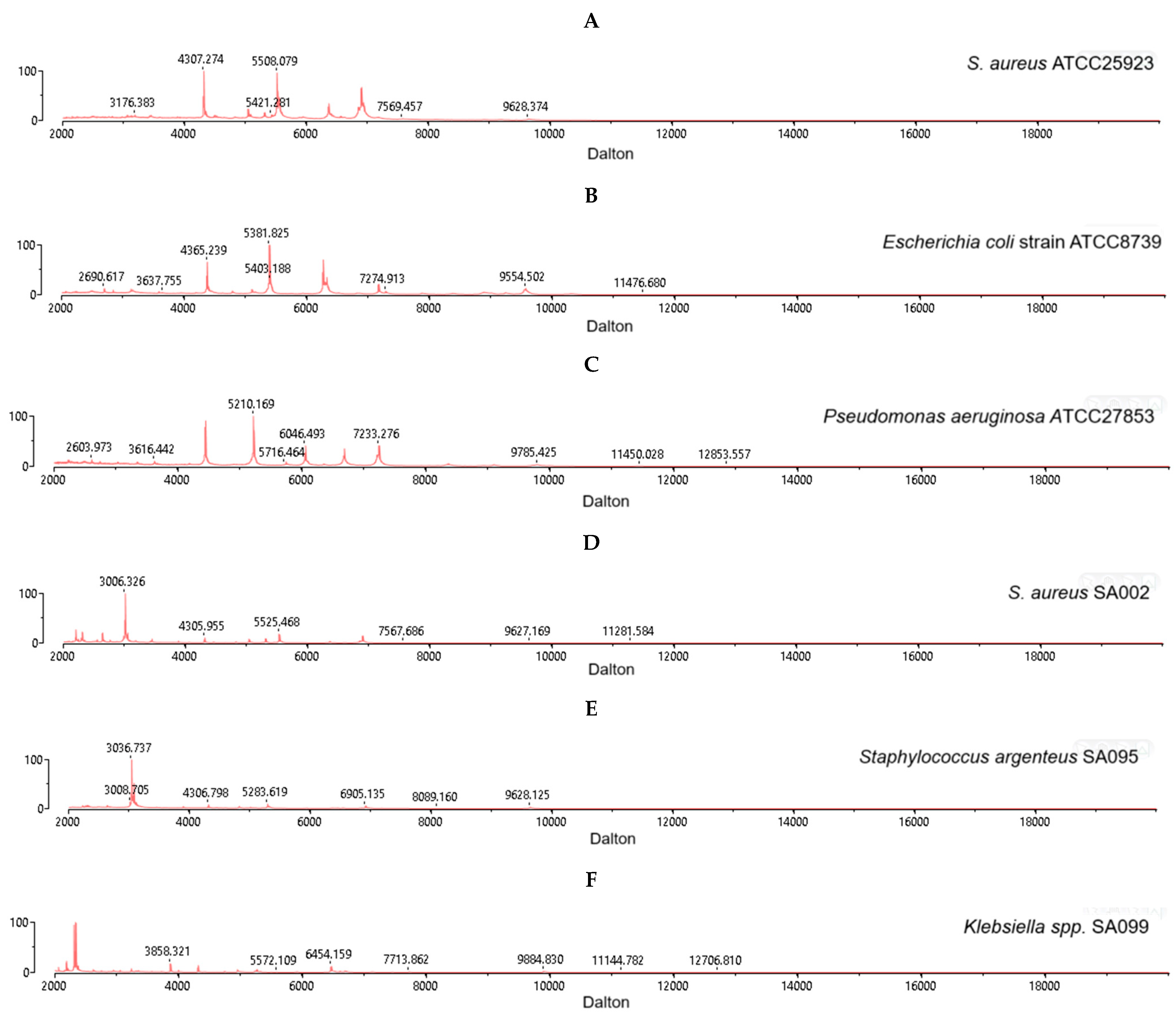 Antibiotics 14 00521 g001