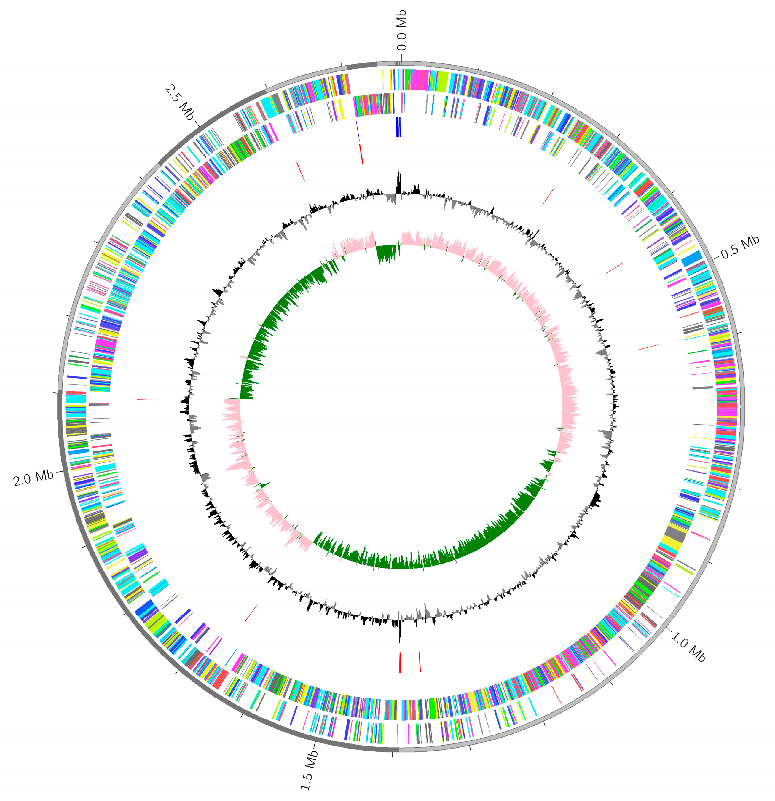 Antibiotics 14 00521 g005a