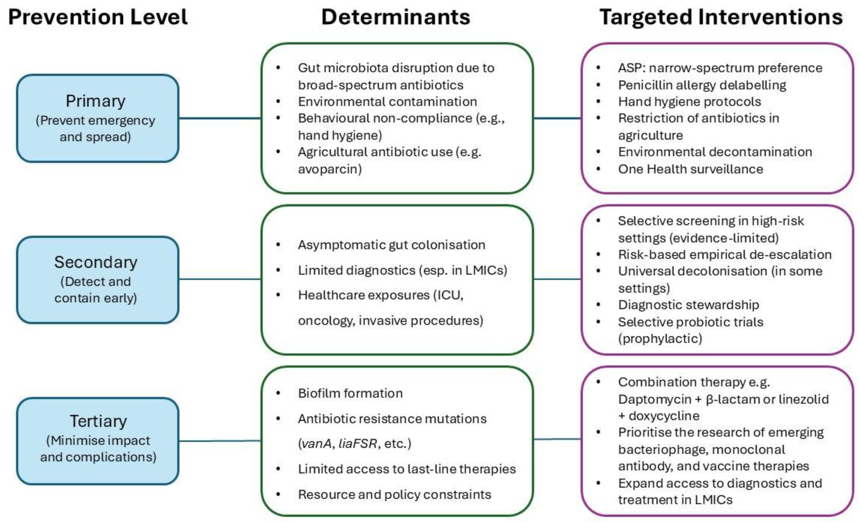 Antibiotics 14 00522 g002