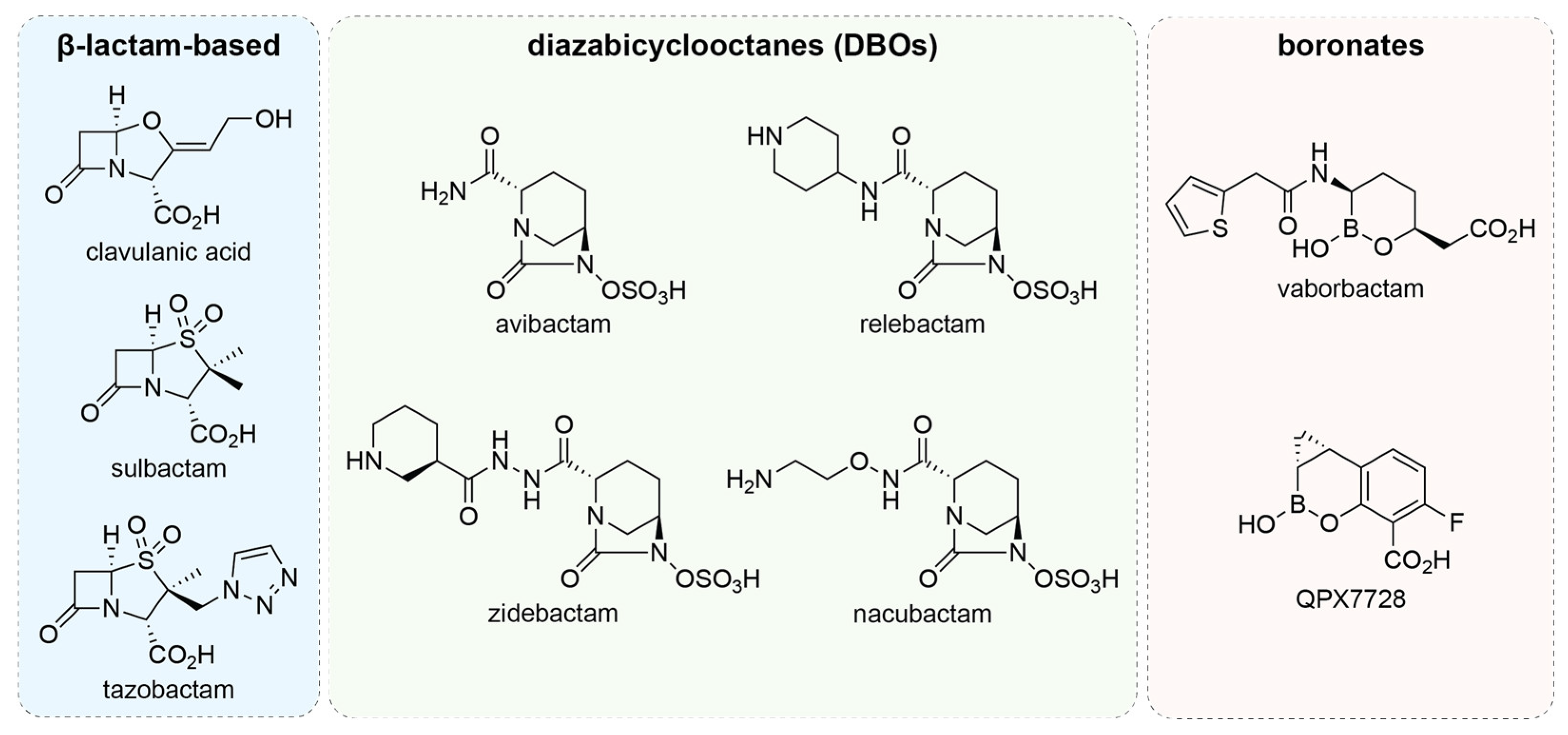 Antibiotics 14 00526 g003
